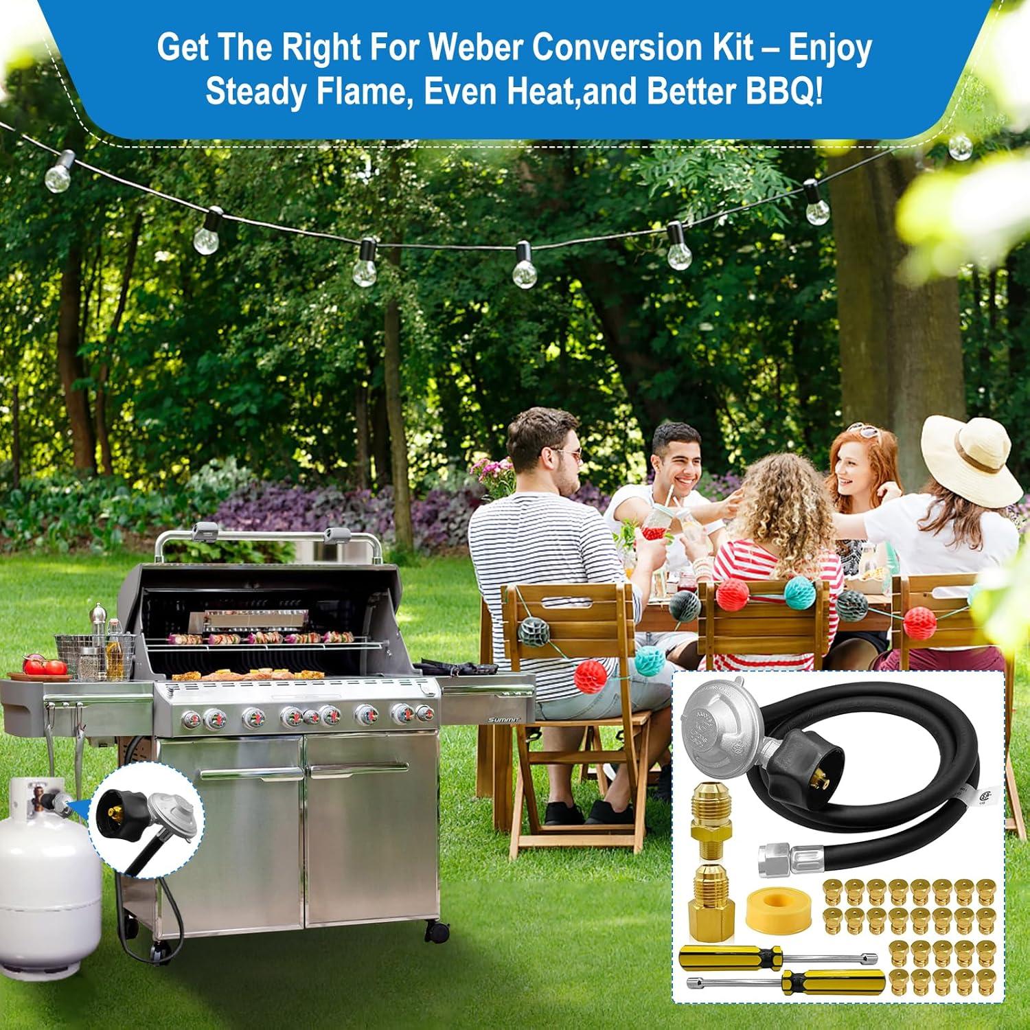 Kit de Conversión Gas Natural a Propano FJXBYWM para Parrillas Weber