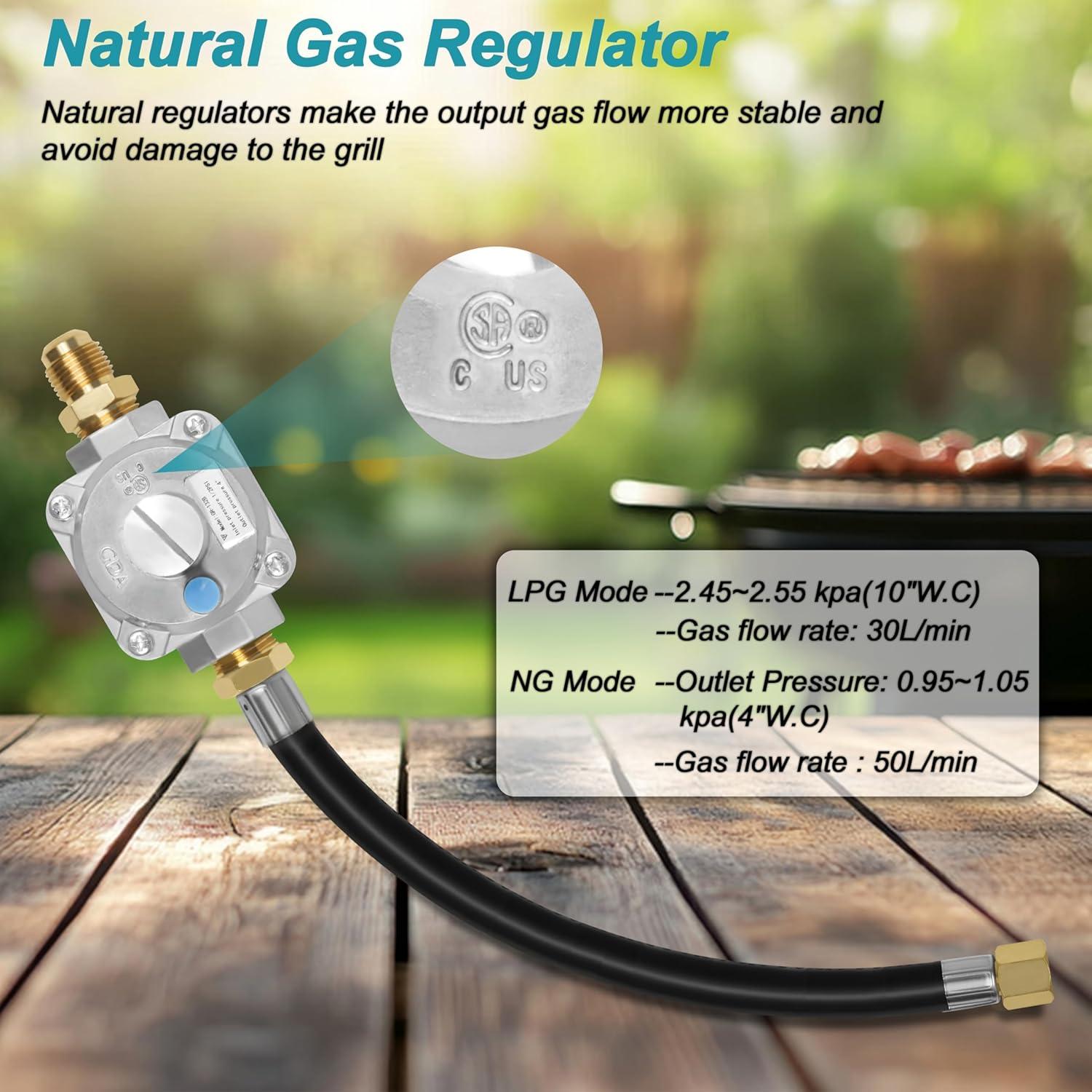 Kit de Conversión de Propano a Gas Natural 10FT Dingbaayee