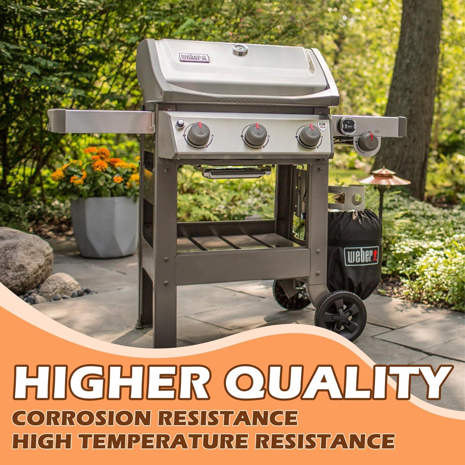 Repuestos de Válvula de Colector Weber Spirit 310/315 - Propano