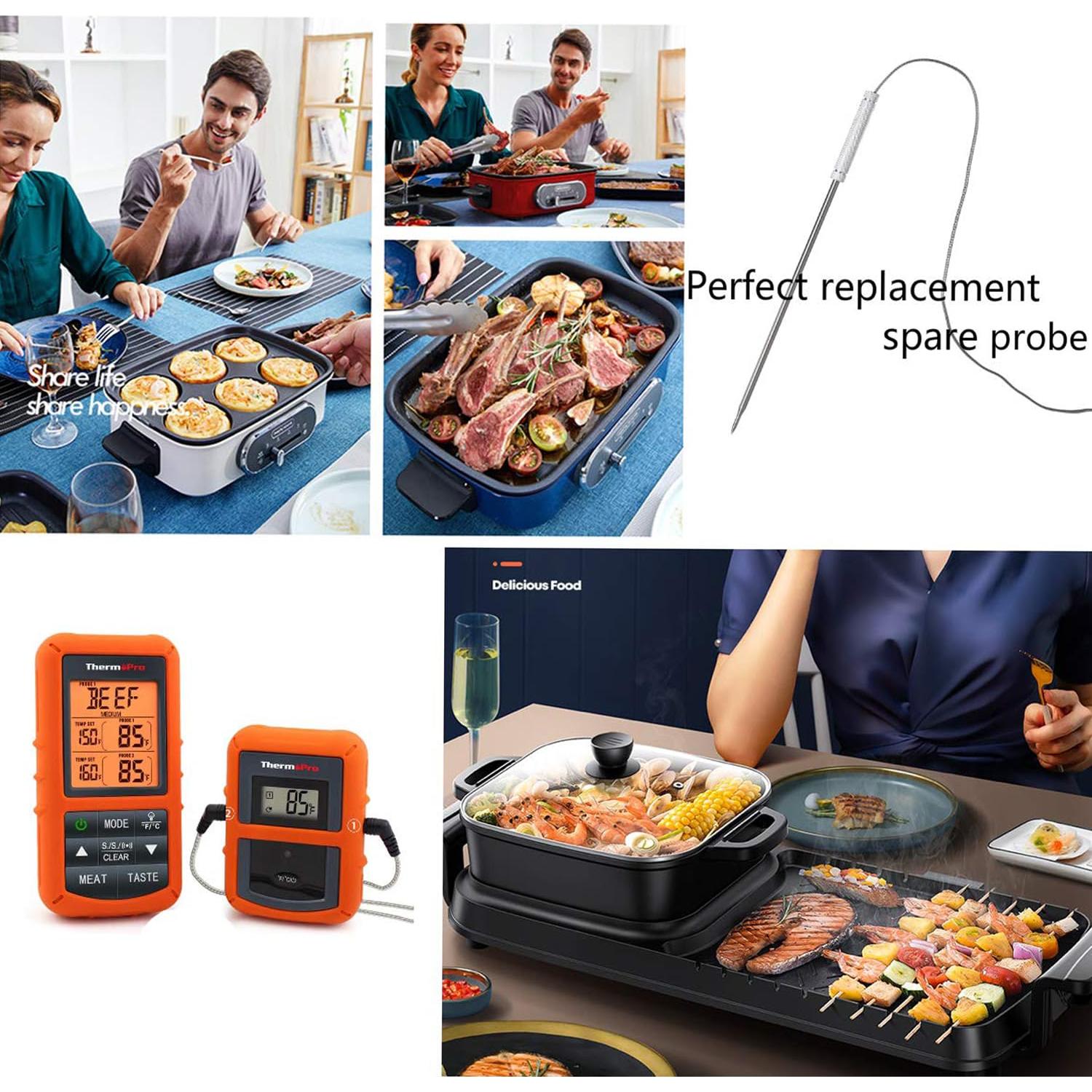 Sondas de Reemplazo Thermopro TP20 TP25 TP08S 2.5mm Doble Sonda