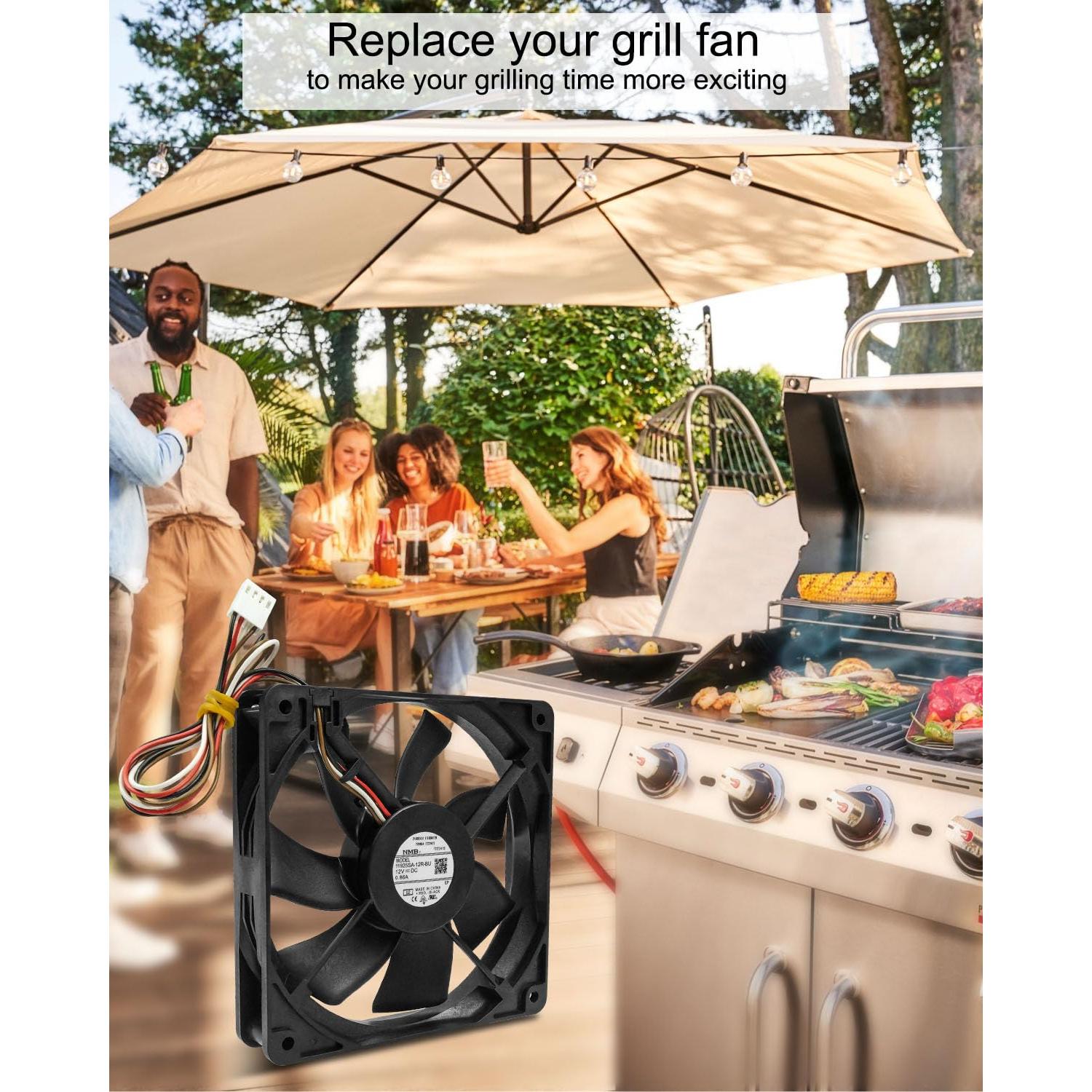 Motor de Ventilador de Inducción 12V Traeger D2 Pro 575 780