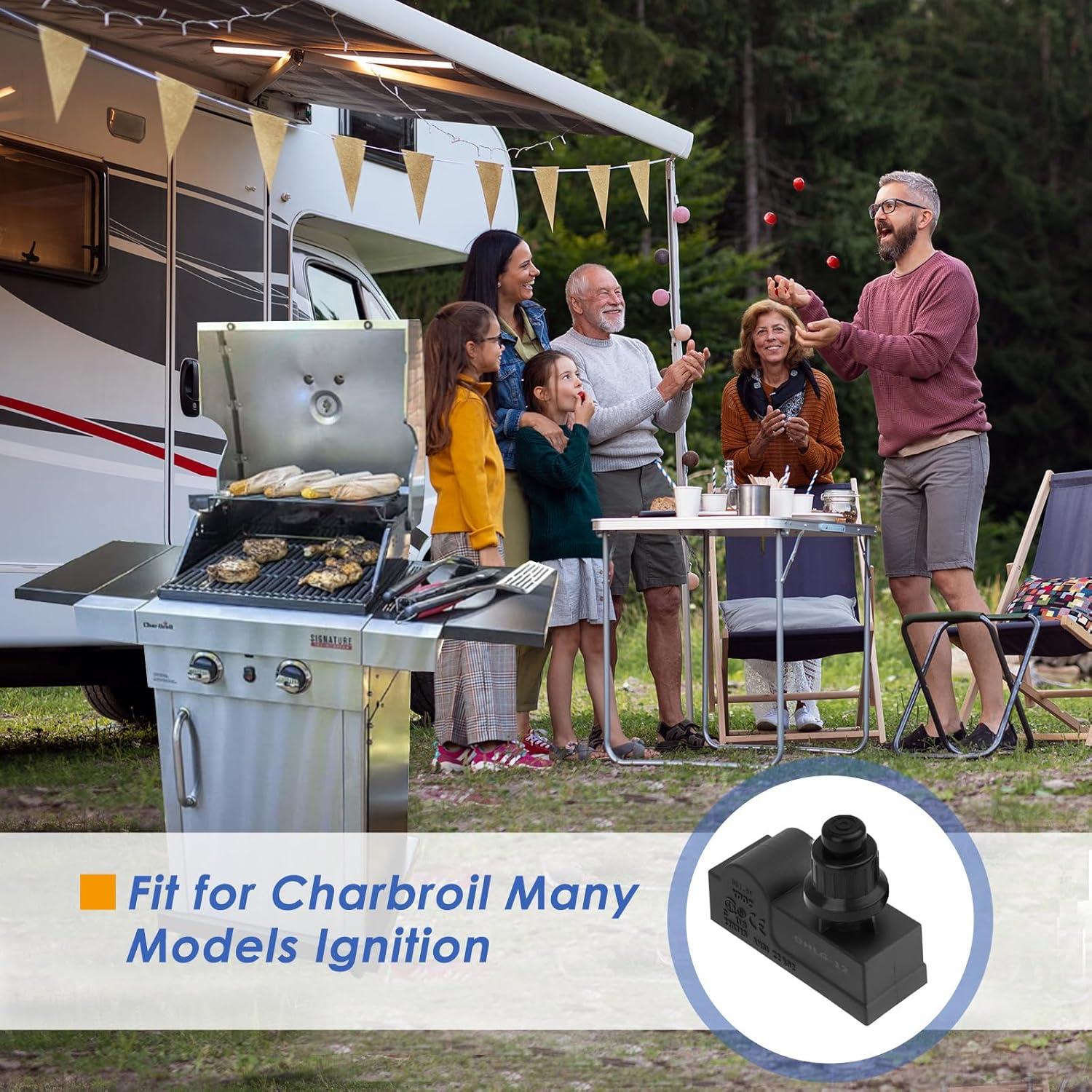 Módulo de Encendido Electrónico Charbroil DHLG-12 con Cables