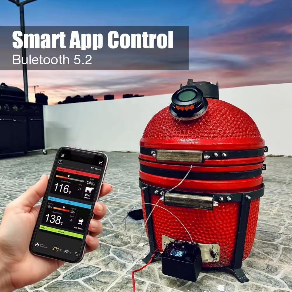 Termómetro de Parrilla Inalámbrico Aethiculin AE-FC01-01