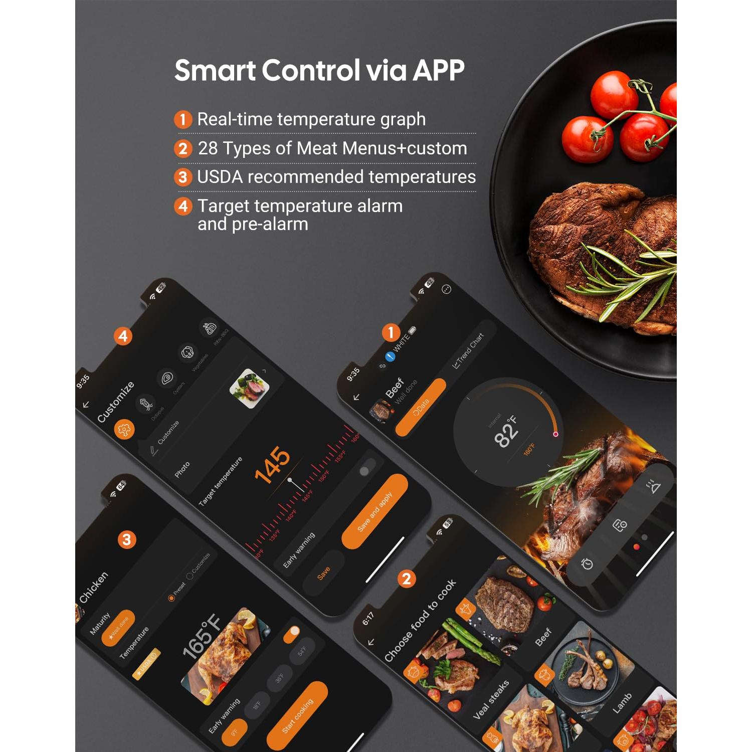 Termómetro de Carne Inalámbrico Fitflavor WiFi 5G Bluetooth