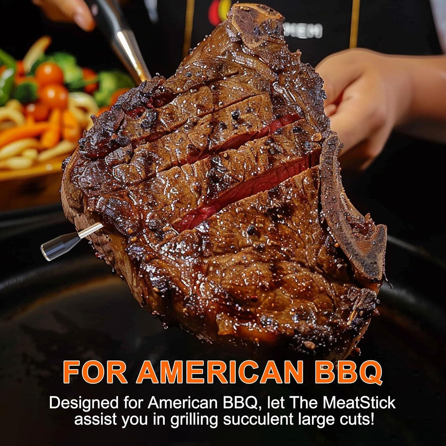 Termómetro de Carne Inalámbrico SLARY con App y 2 Sonas