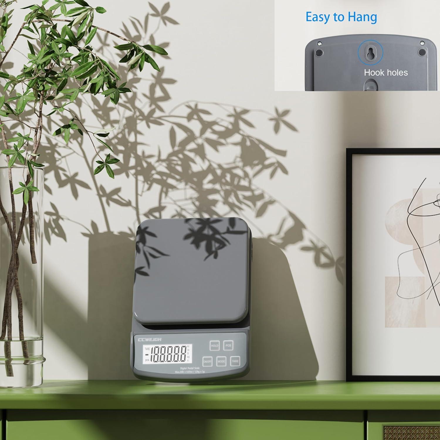 Báscula Postal CCWEIGH 1kg Alta Precisión con Tare y PCS