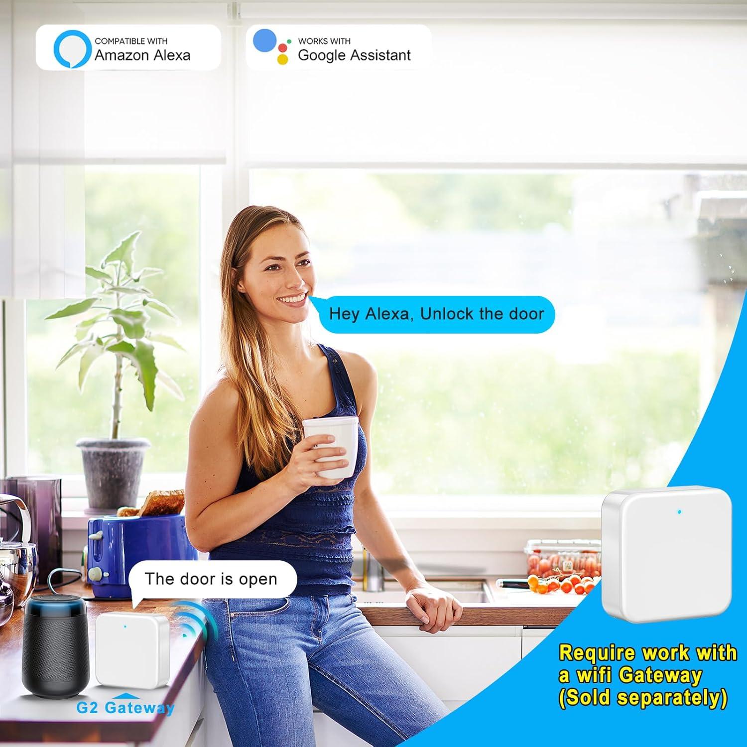 Cerradura inteligente Seifgard doble cilindro sin llave negra