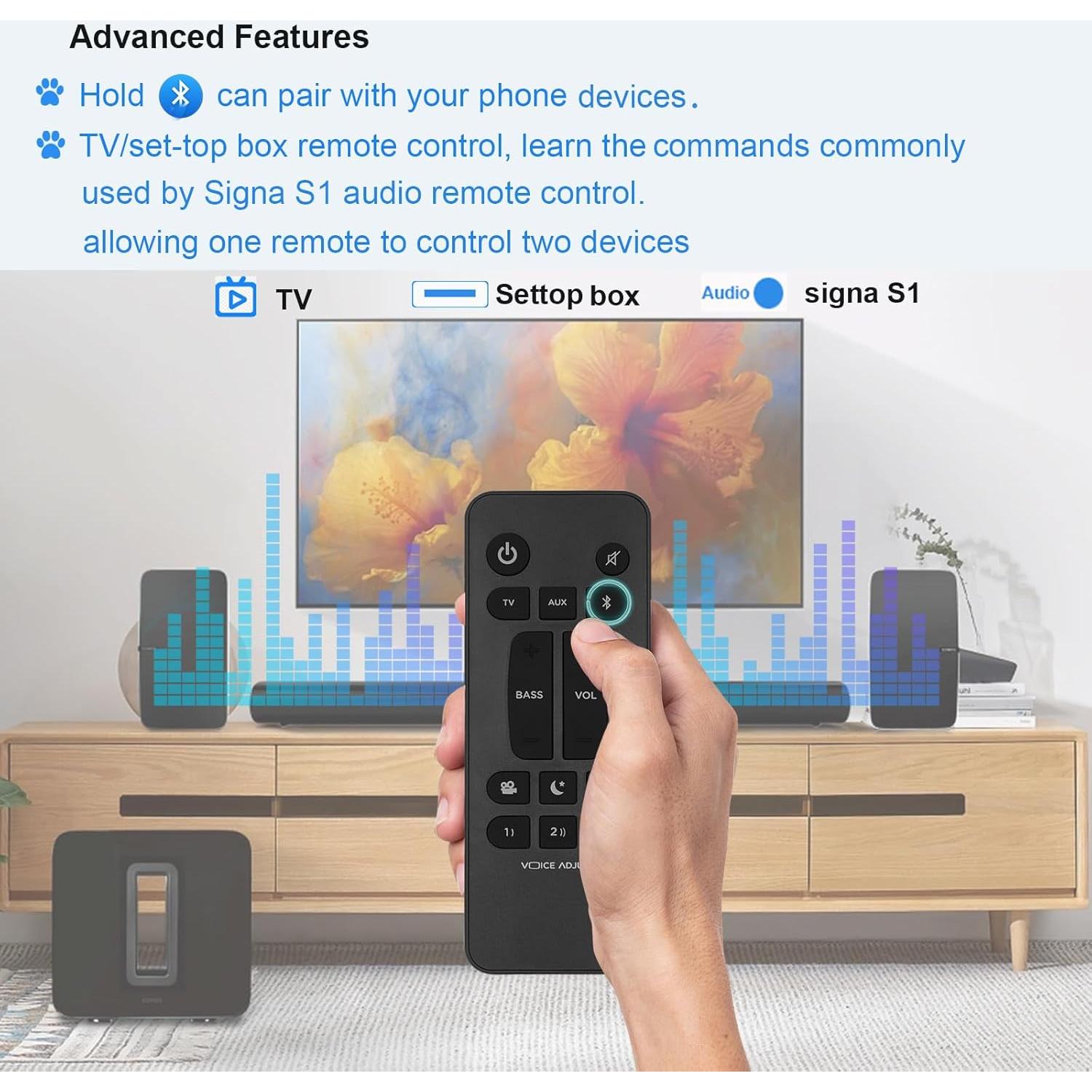 Control Remoto Reemplazo Polk Audio Signa S1 S2 S3 S4