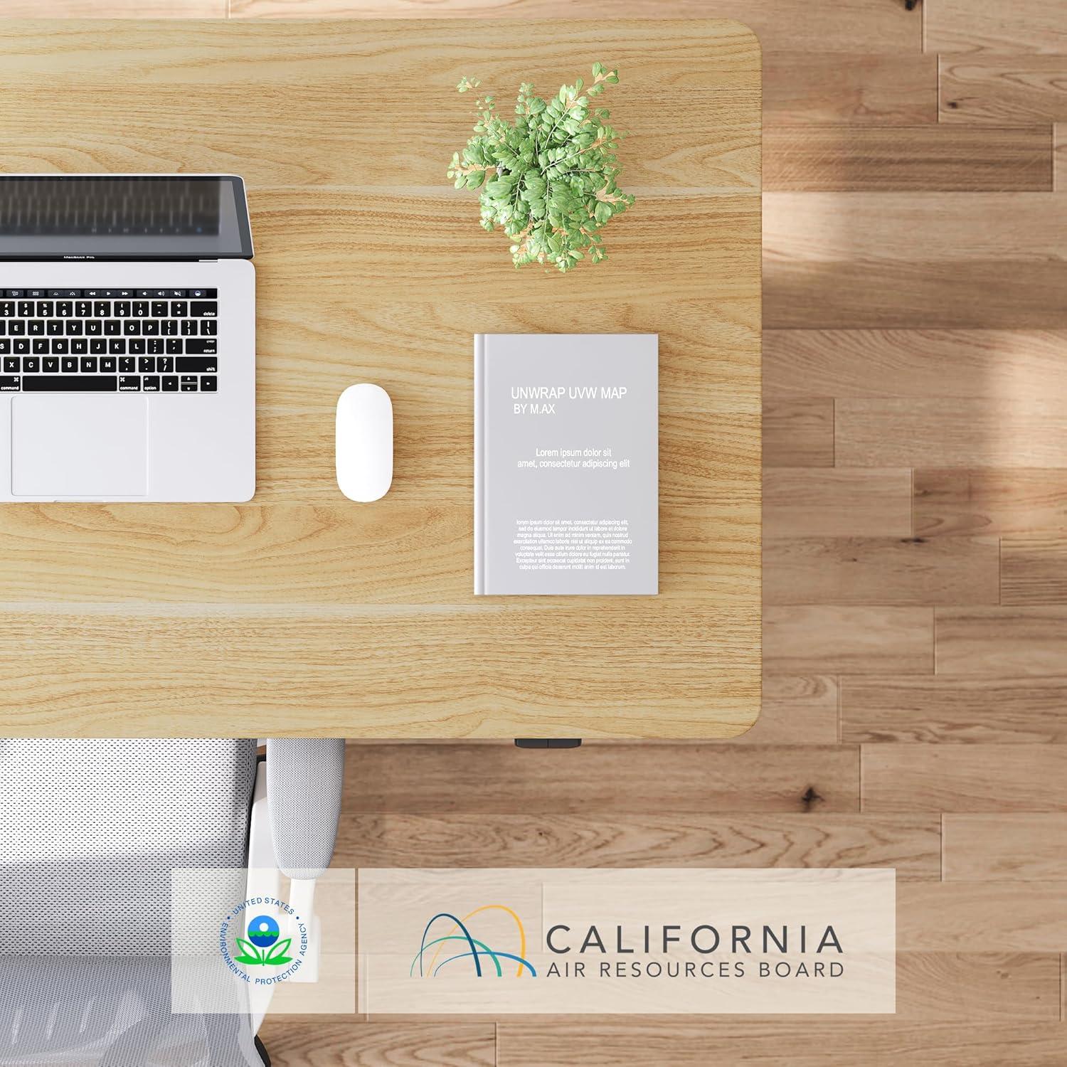 Escritorio de Pie Eléctrico FLEXISPOT 121.9x61 cm Arce Blanco