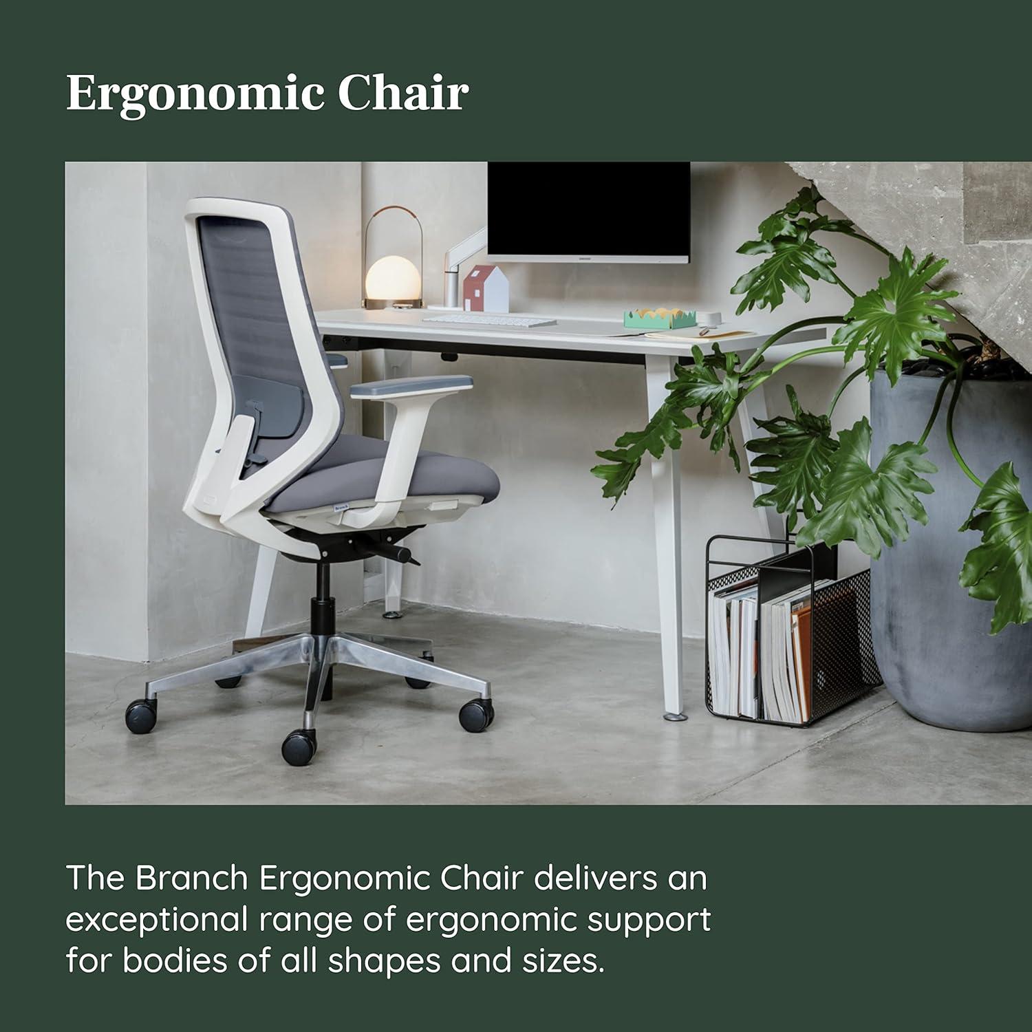 Silla Ergonómica Branch Grafito - Ajustable, Soporte Lumbar y Malla