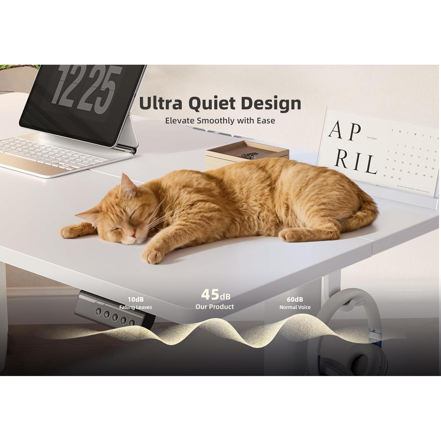 Escritorio de pie eléctrico YDN P3.01.001 ajustable 101.6x60.96cm