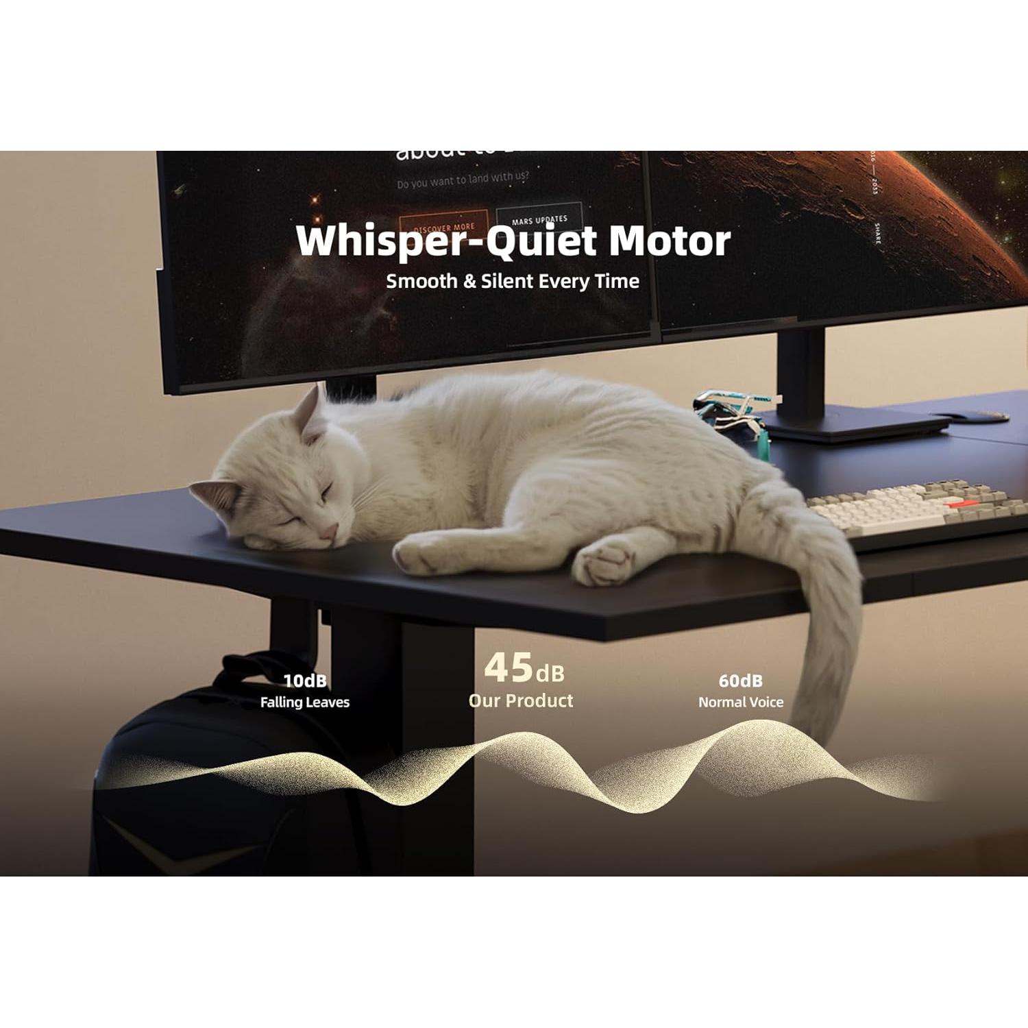 Escritorio de pie eléctrico ajustable Seang P4.01.001.0001 101.6x61cm