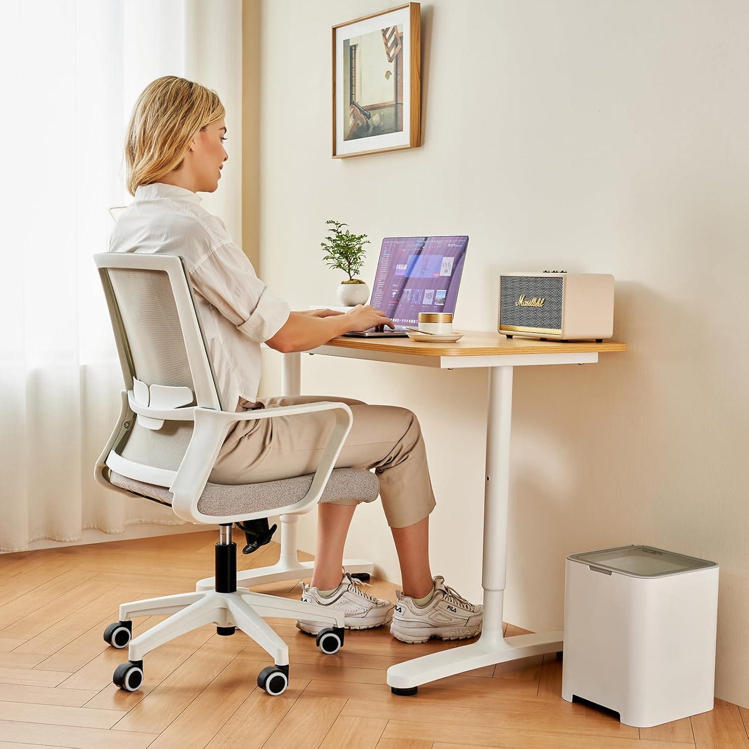 Silla de Oficina Ergonómica Msdizuo Gris con Respaldo de Malla