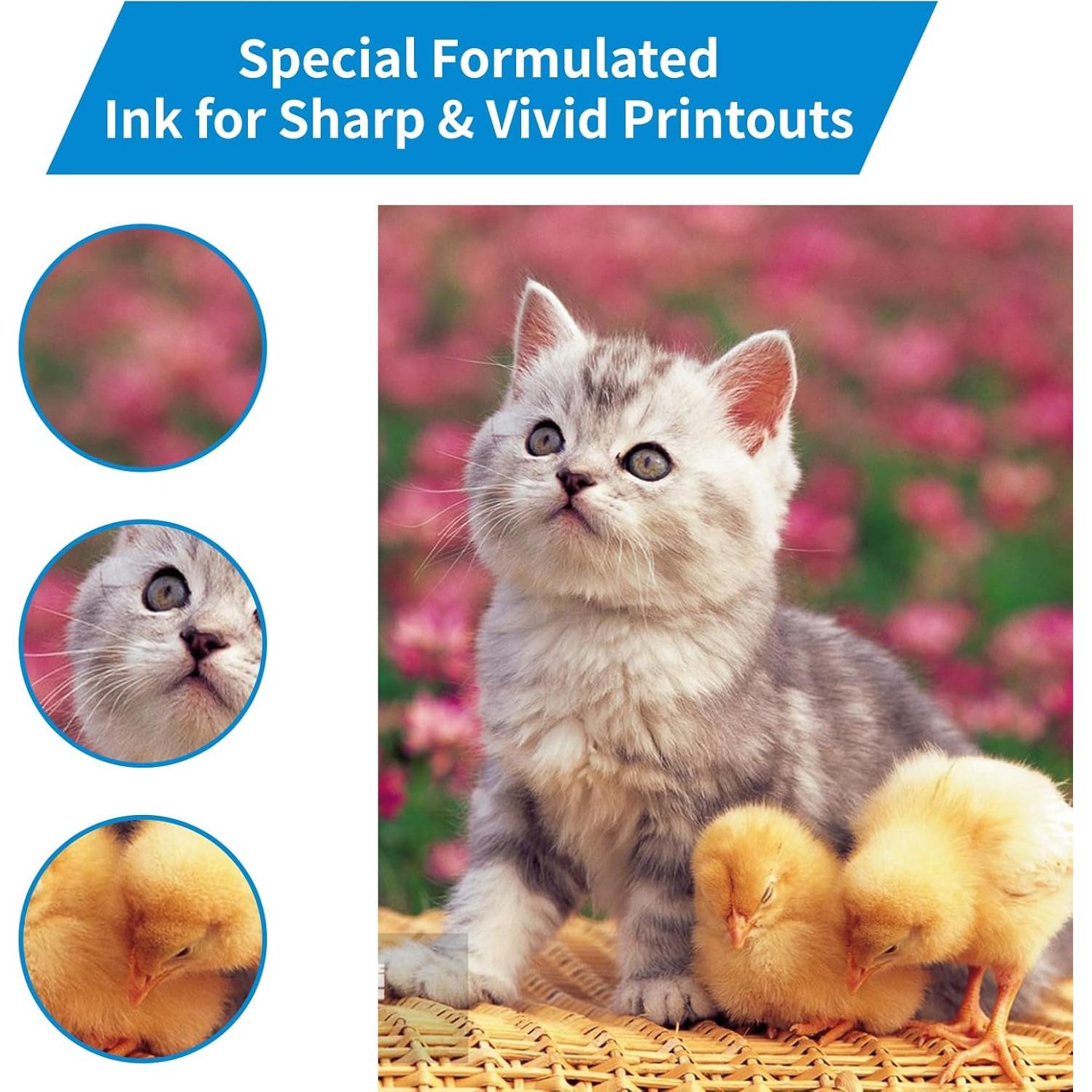 Recarga de Tinta Cian Magenta Amarillo Oranysty 70ml para Epson