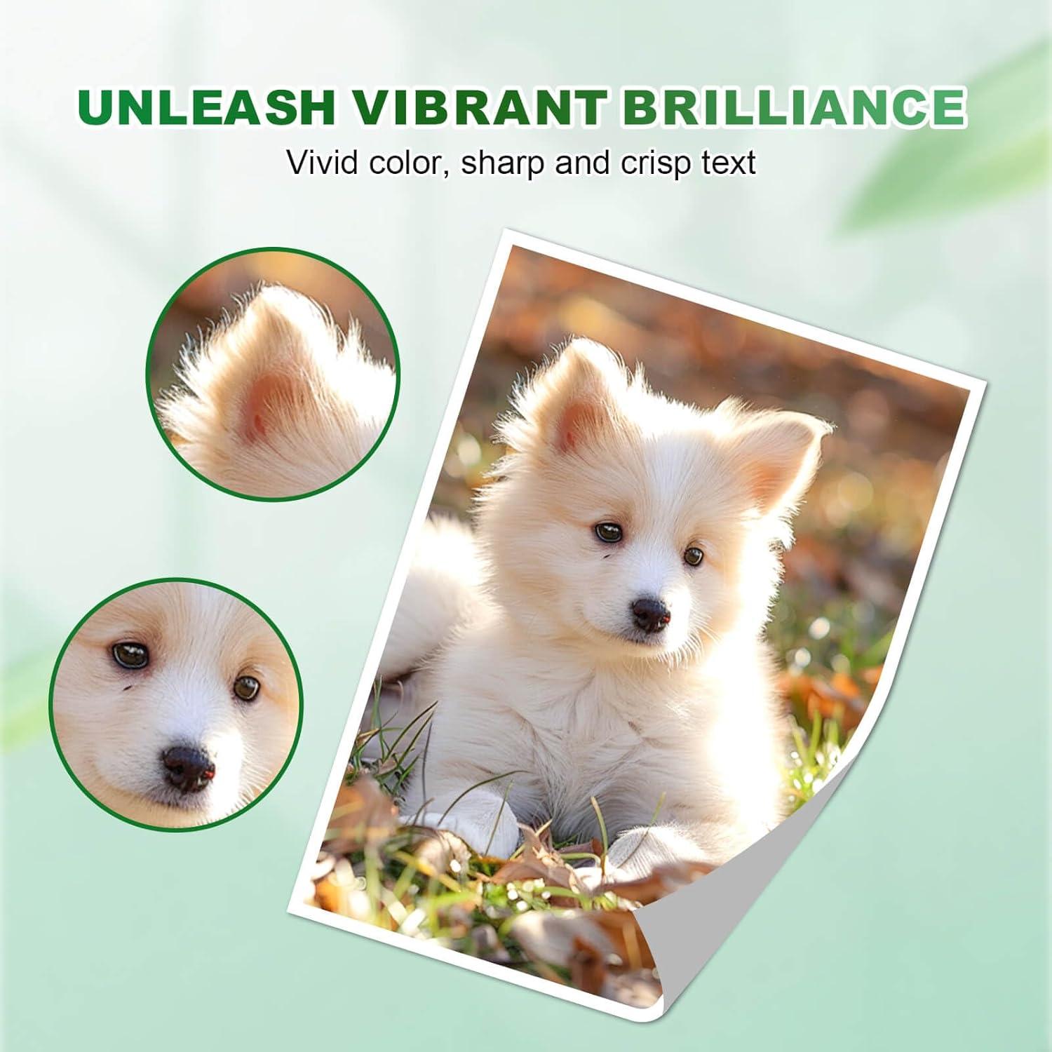 Cartuchos de tinta JoyPrinting 280 281 XXL compatibles Canon - Paquete de 10