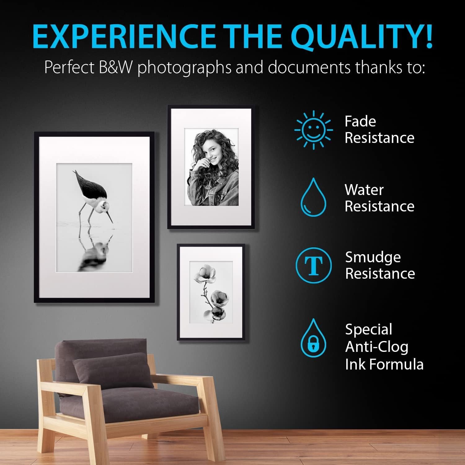 Cartucho de Tinta Compatible Smart Ink 280XXL para Canon - 2 PGBK