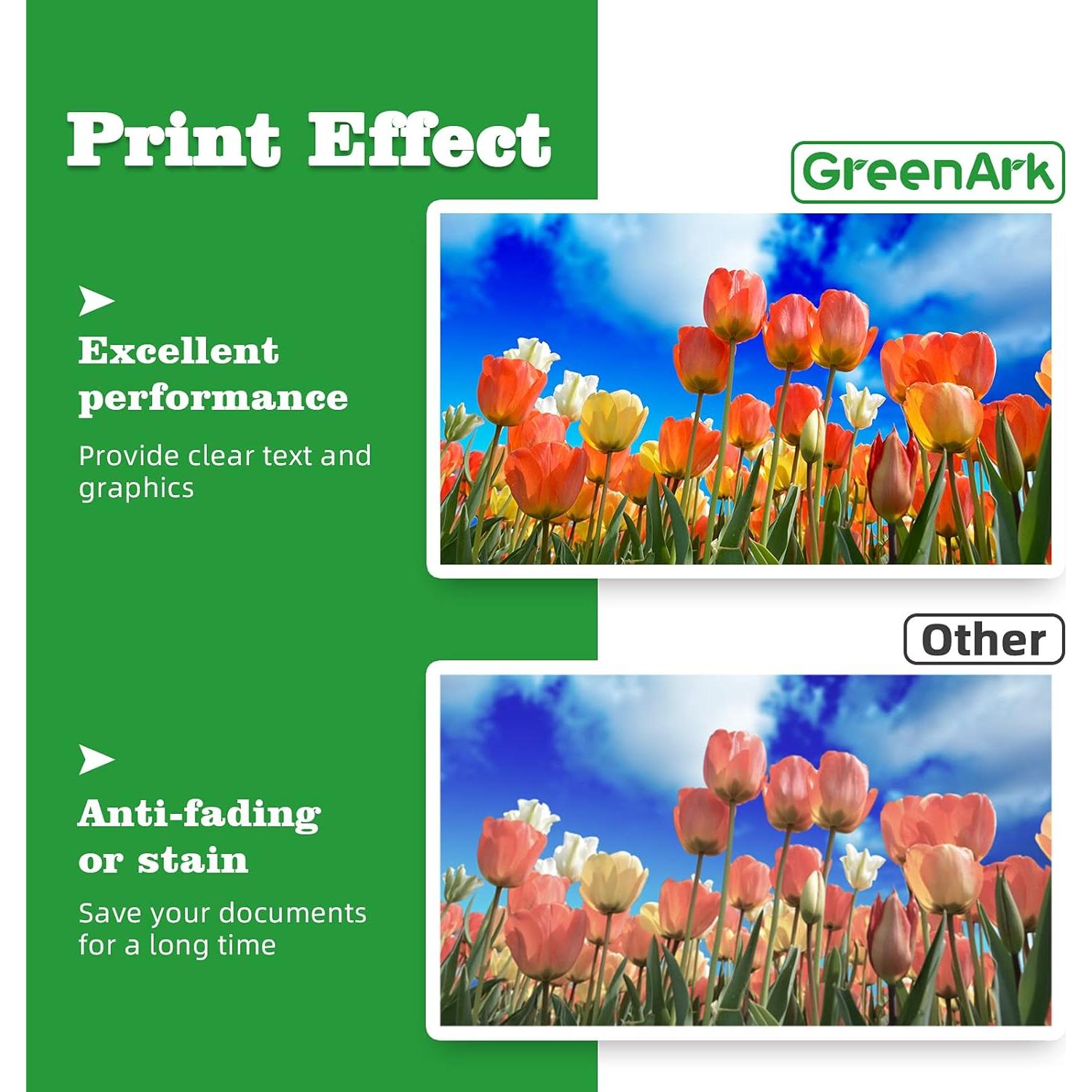 Cartuchos de Tinta Negra Compatibles GreenArk PGI-280XXL (2 Pzs)