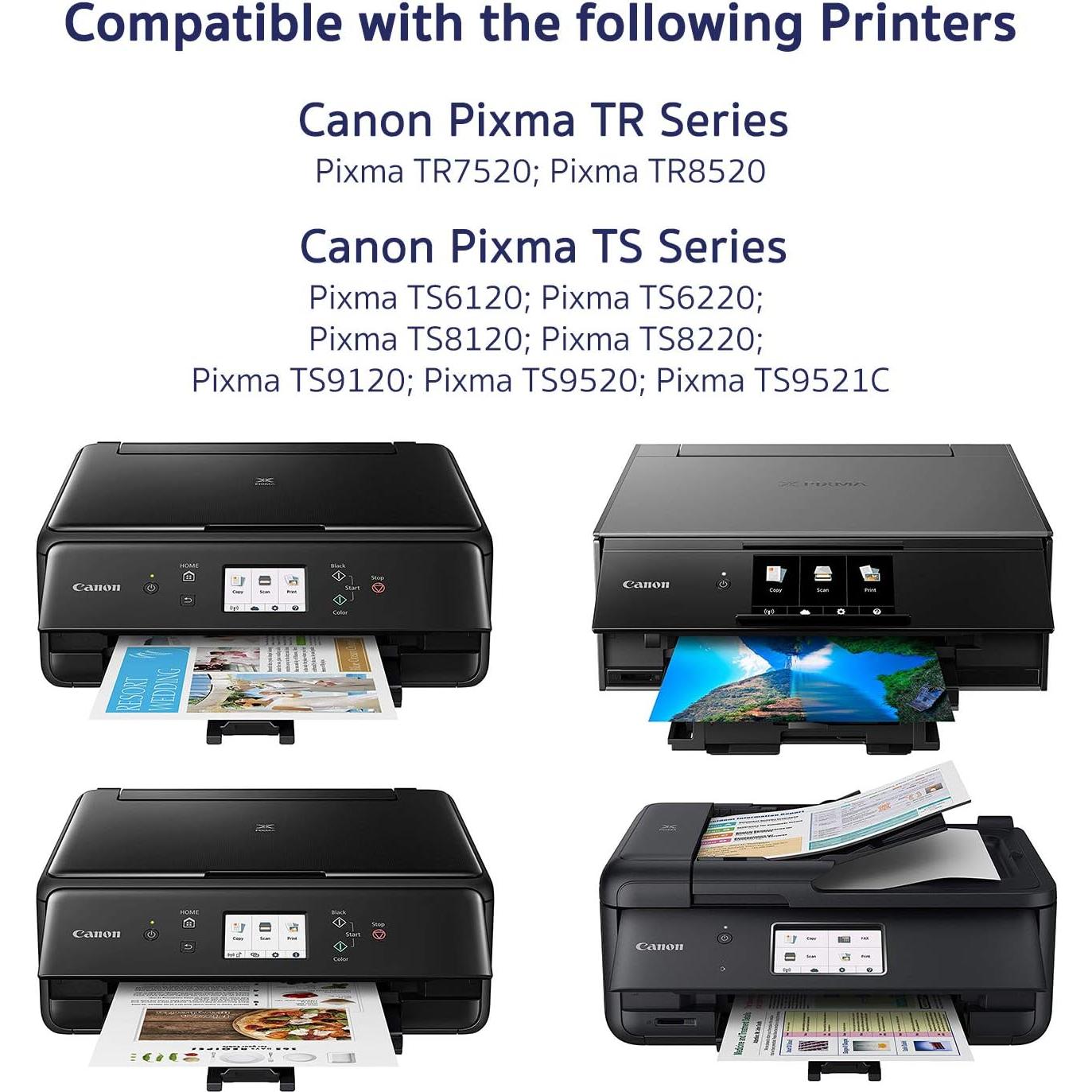 Cartuchos de tinta compatibles Arthur Imaging para Canon 10 unidades