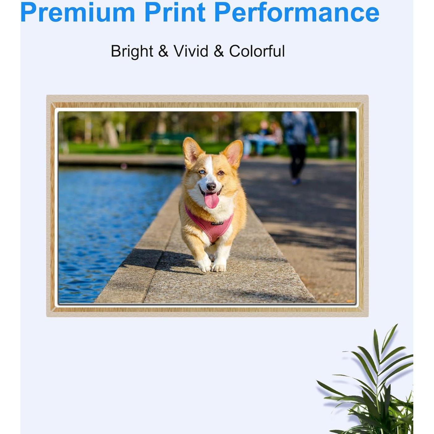 Cartuchos de tinta OGOUGUAN PGI-280XXL y CLI-281XXL - Paquete 5 colores