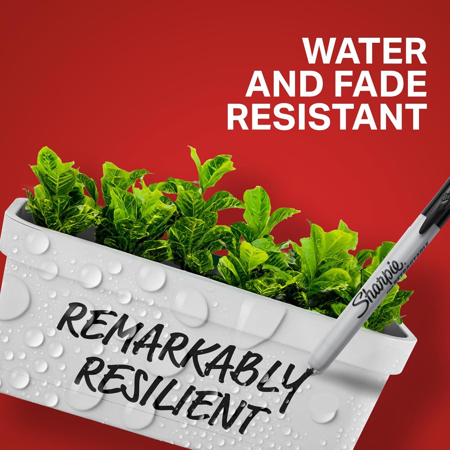 Marcadores Permanentes Retráctiles Sharpie Punta Fina Negro 36 Unidades