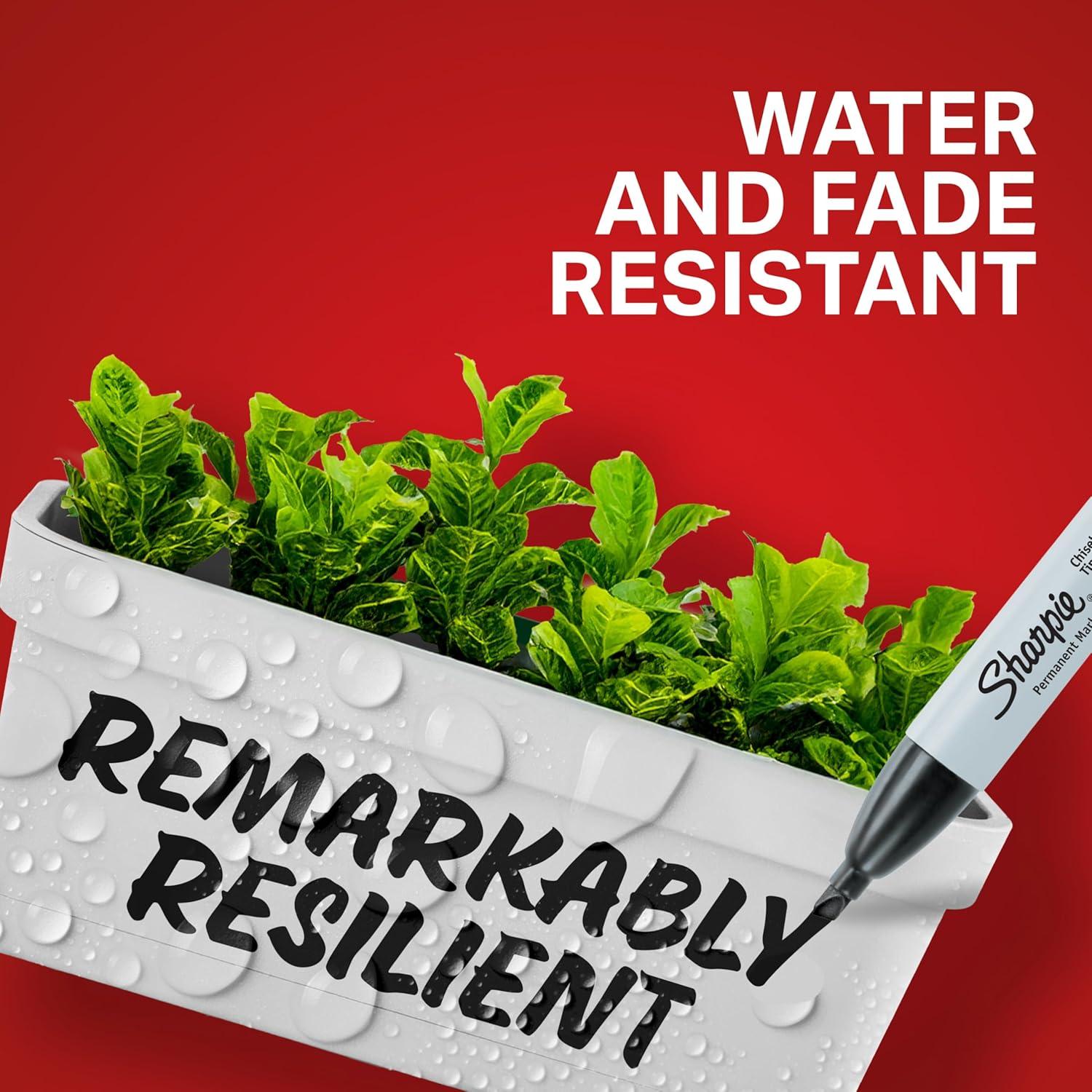 Marcadores Permanentes Sharpie Punta Biselada Negro 36 Unidades