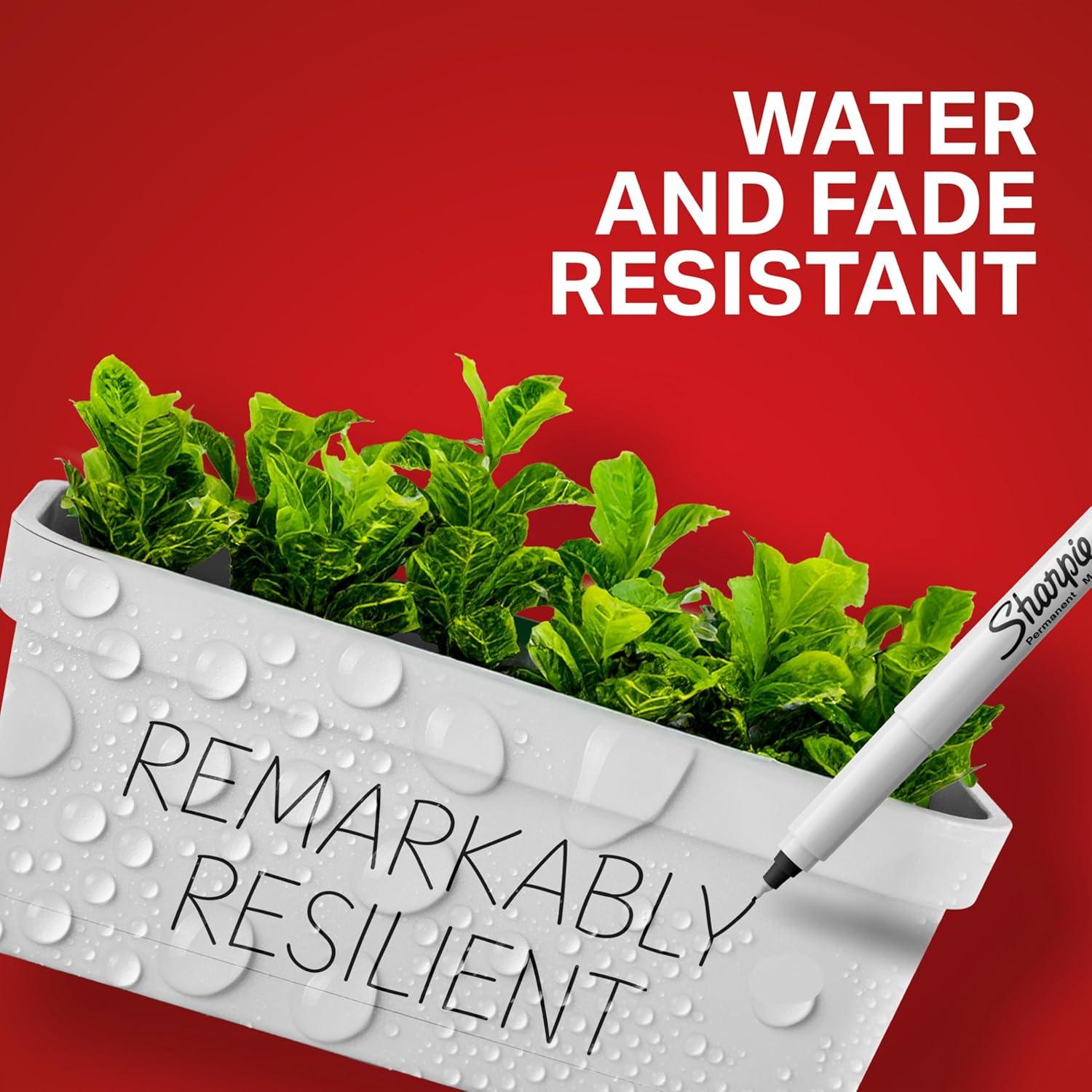 Marcador Permanente Ultra Fino Sharpie 37003 Azul Paquete 12