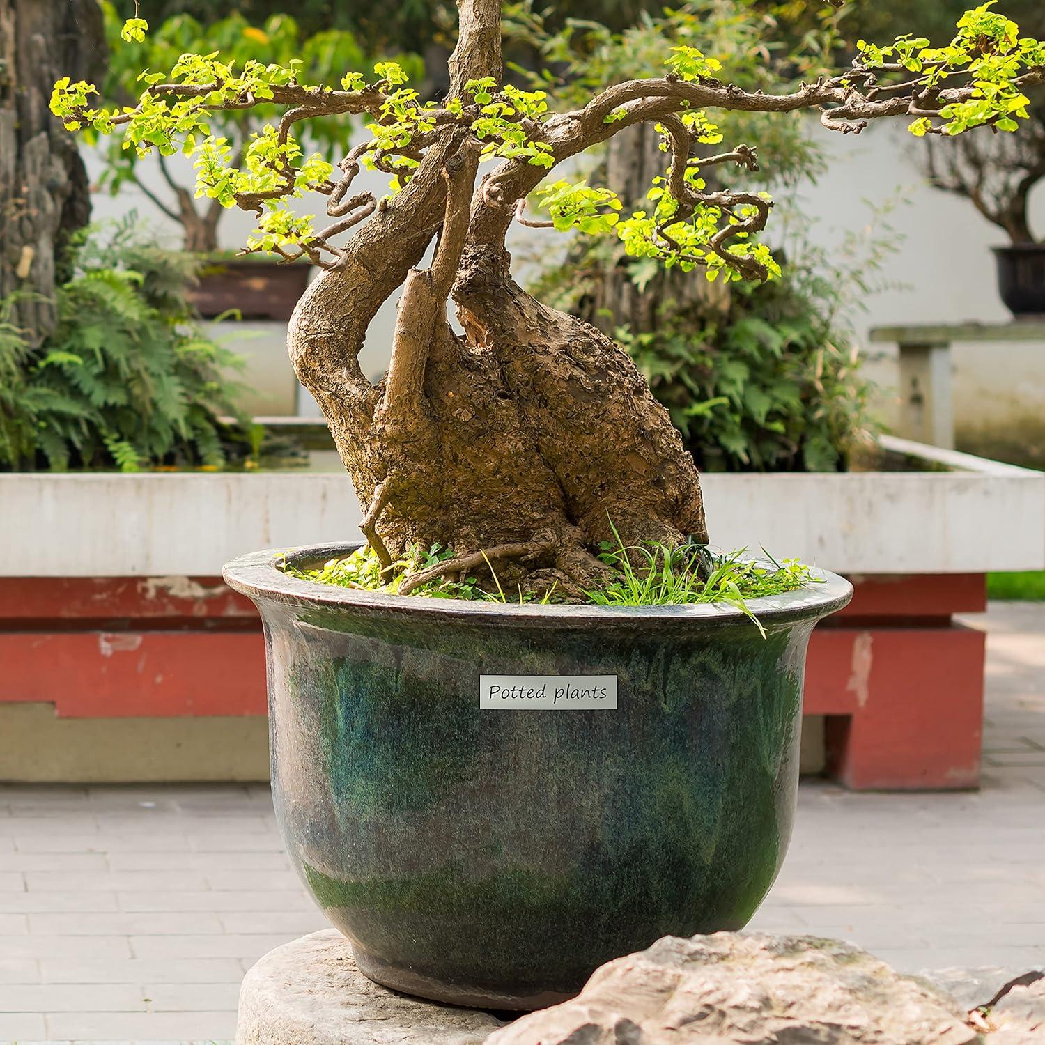 Cinta de Etiquetas Filery D1 45013 Negro sobre Blanco 12mm x 7m