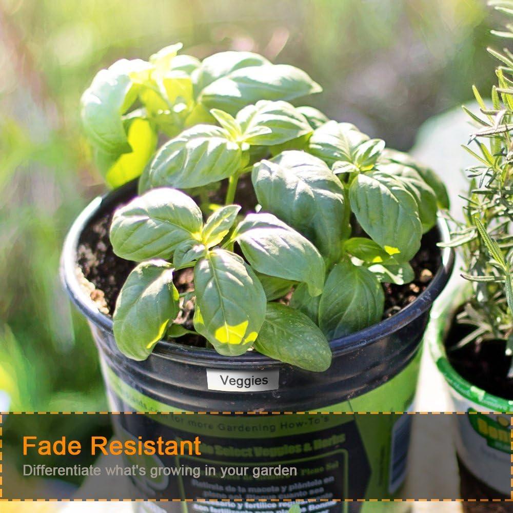 Cintas de Etiqueta Oozmas Dymo 45013 Negro sobre Blanco 12mm