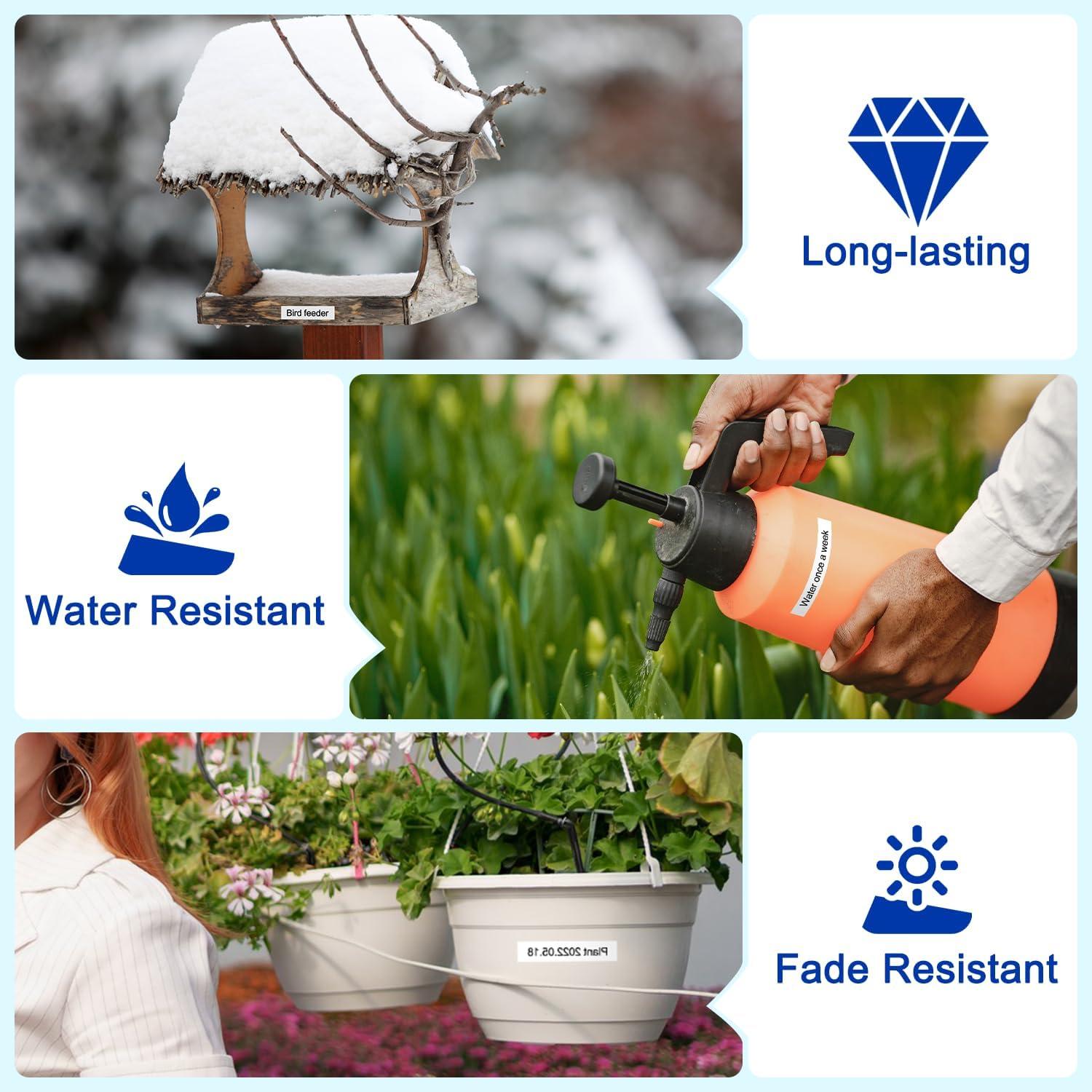 Paquete de 5 Etiquetas Térmicas Goknu P12 Compatibles DYMO