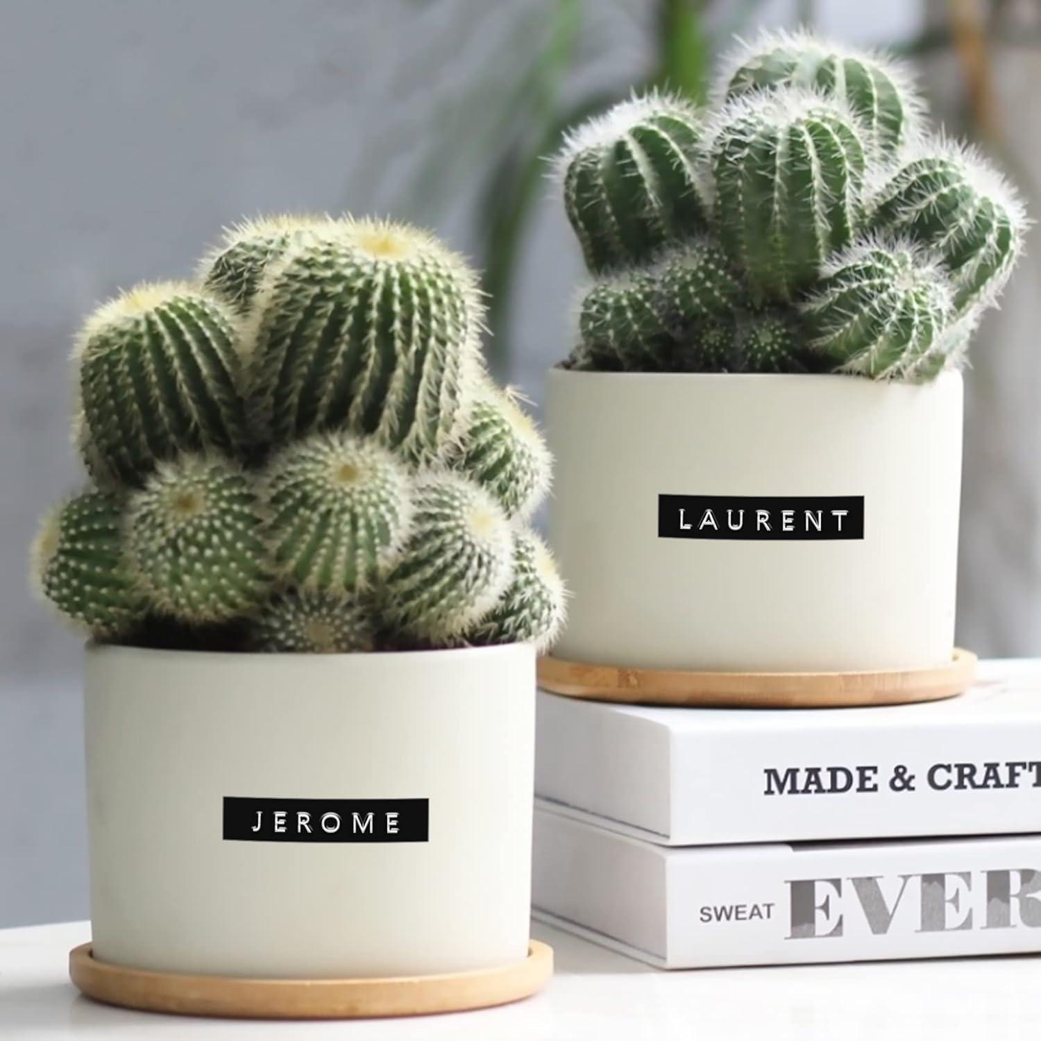 Cinta de Embossing TITBIT 10 Rollos 3/8" Negro para DYMO