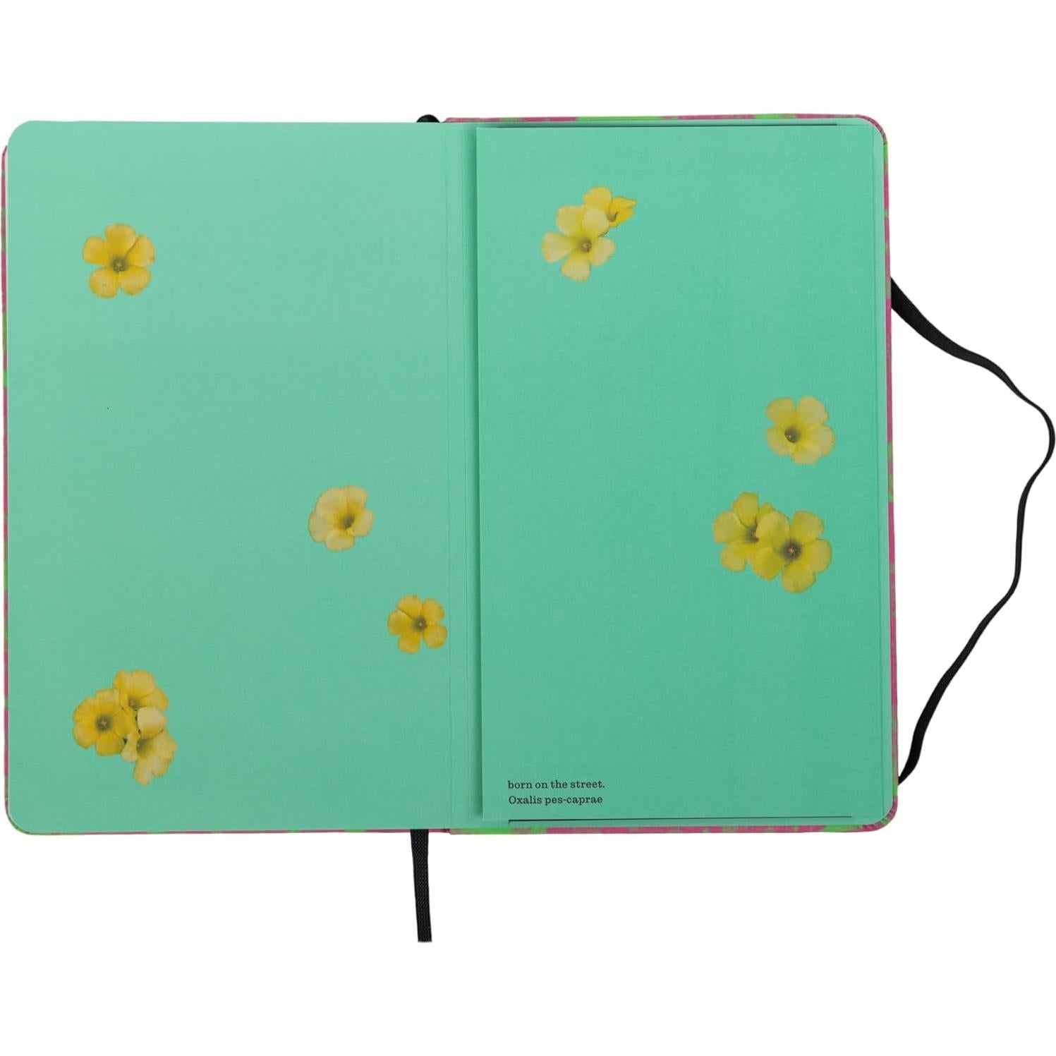 Cuaderno Moleskine Personalizado Tapa Dura Rayado 240 Páginas