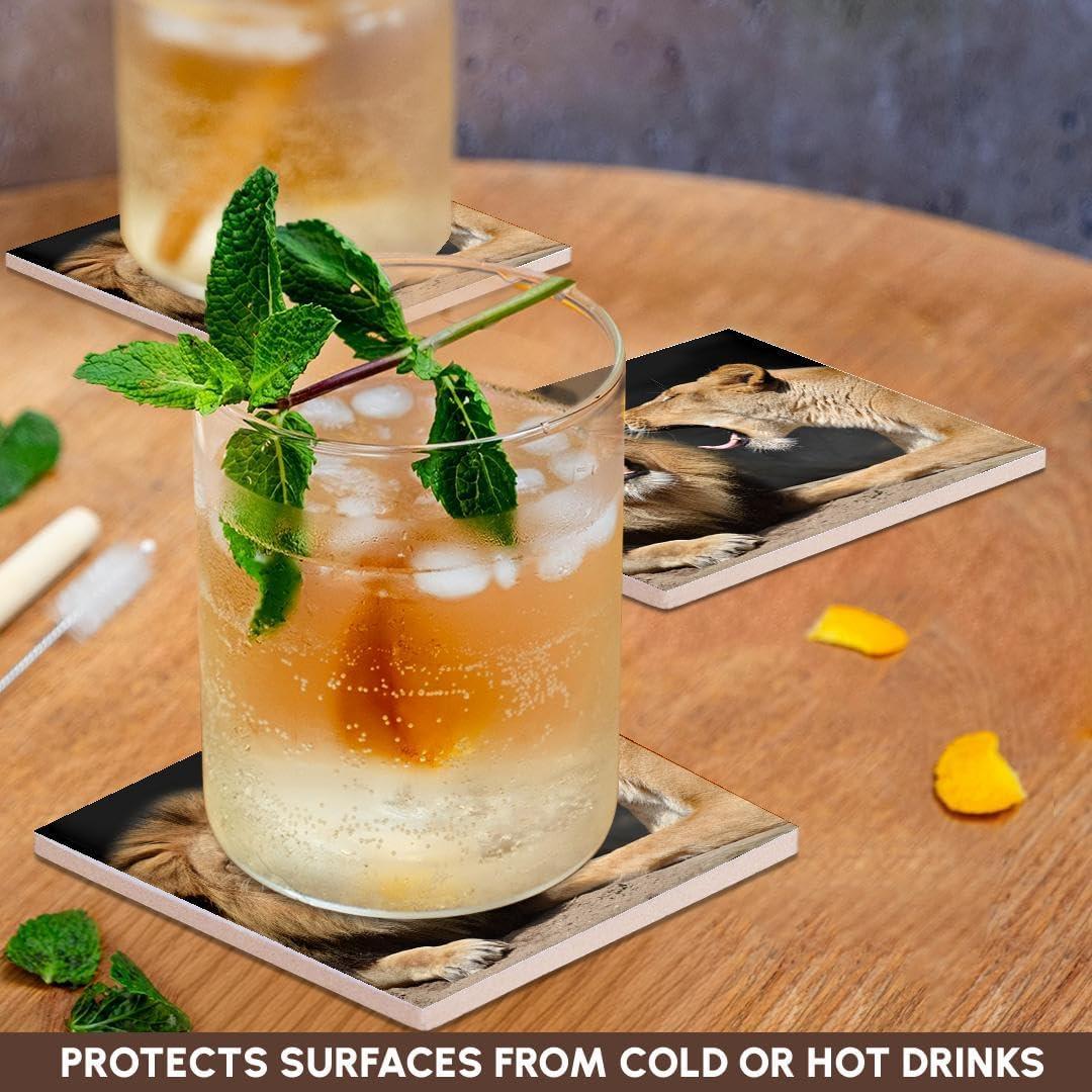 Juego de 8 Posavasos de Cerámica 3dRose Leones Divertidos