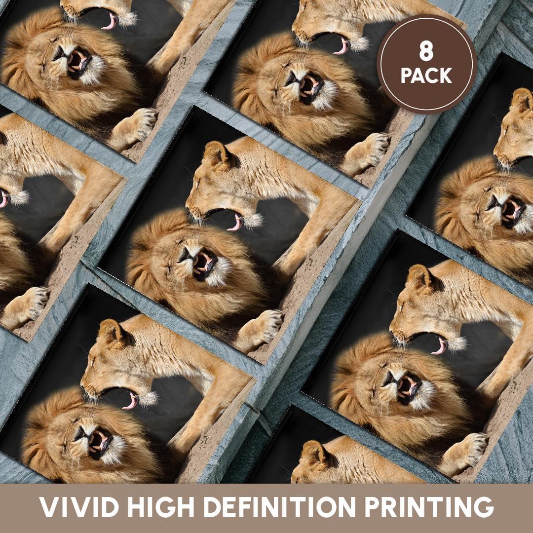 Juego de 8 Posavasos de Cerámica 3dRose Leones Divertidos