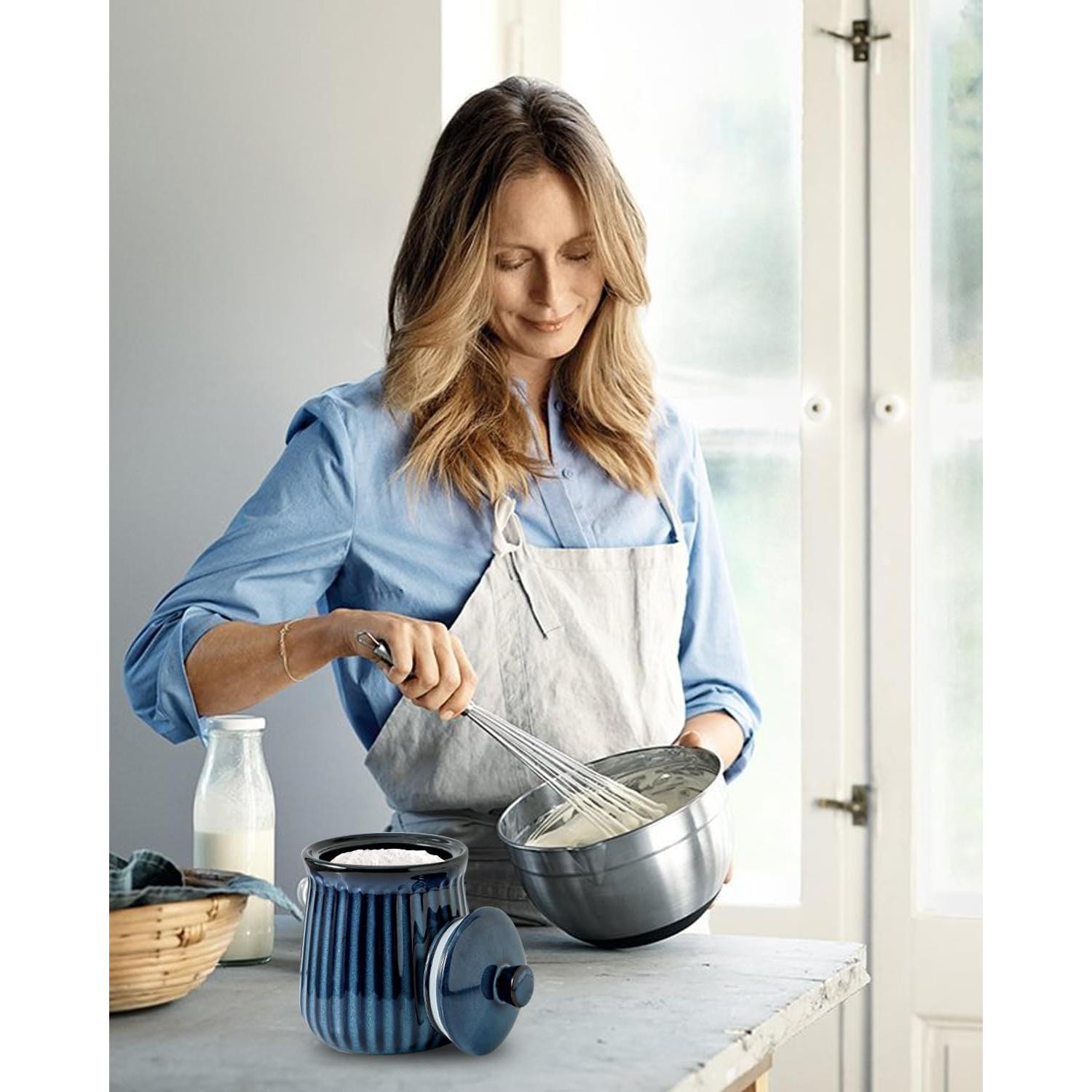 Tarro de Almacenamiento de Cerámica Hasense 35 oz Azul Hermético