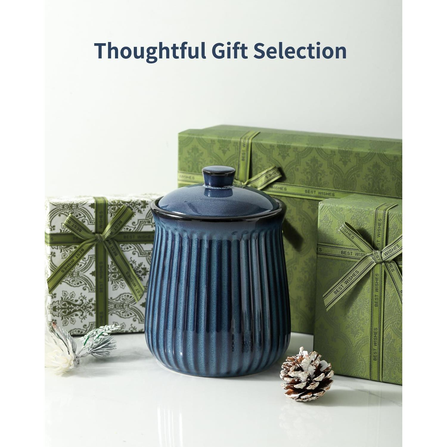 Tarro de Almacenamiento de Cerámica Hasense 35 oz Azul Hermético