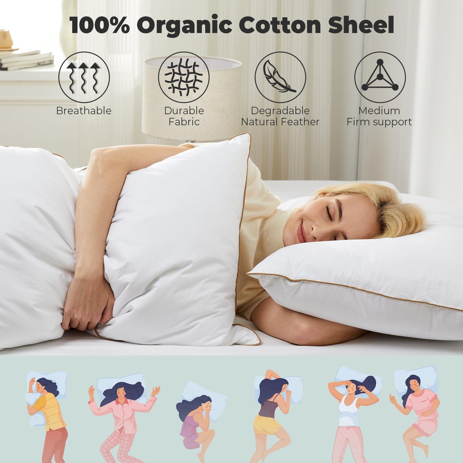 Juego de 2 almohadas King Dreamhood de plumas y plumón