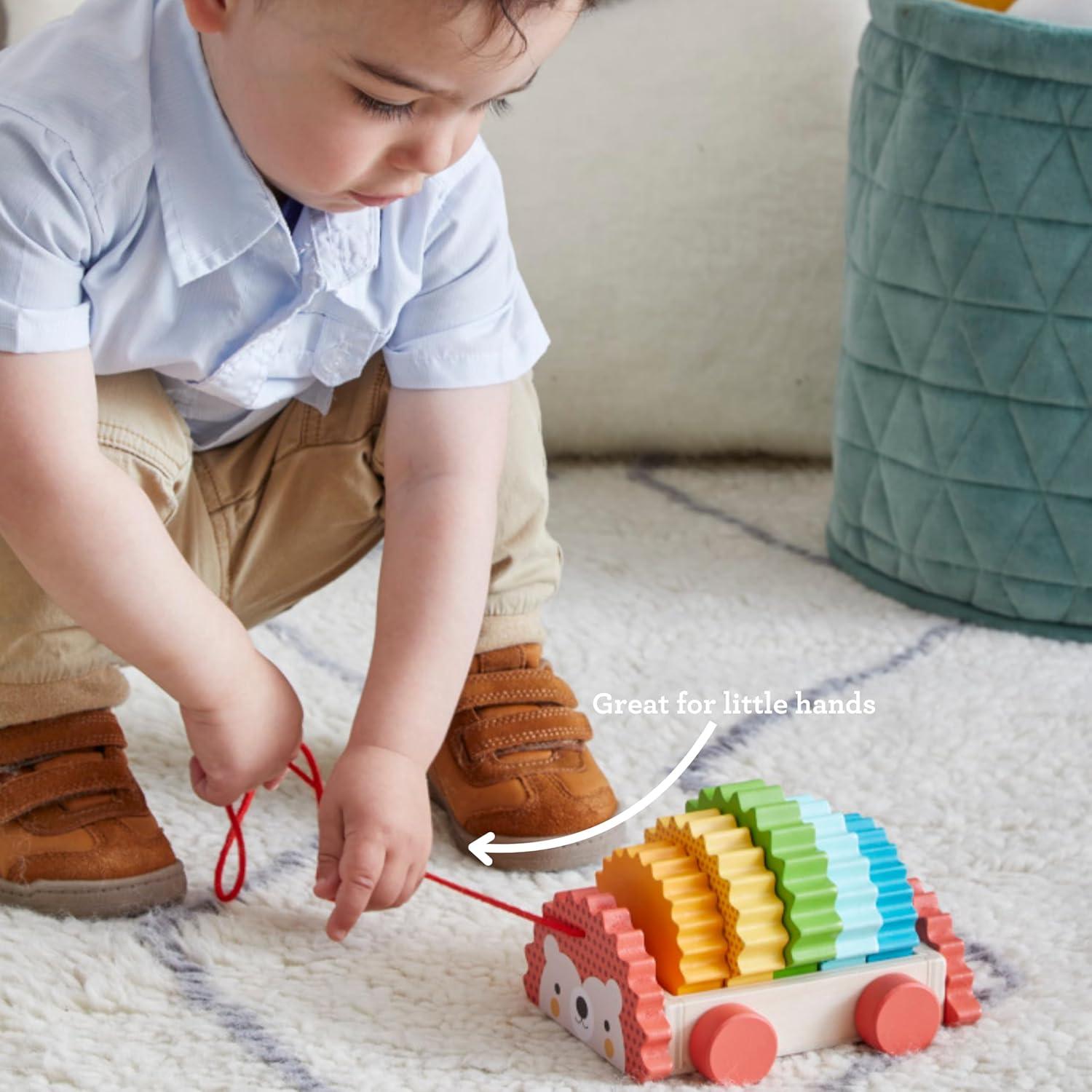 Juguete de Tirar Erizo Arcoíris de Madera Petit Collage