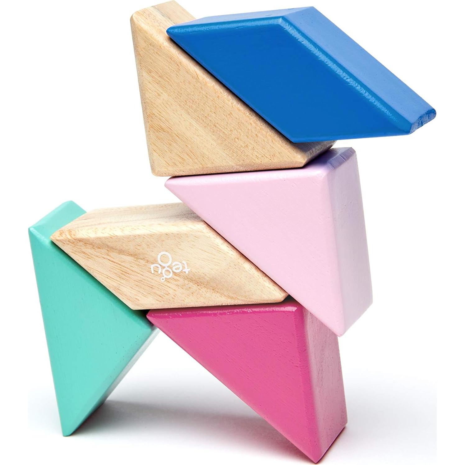 Juego de Bloques Magnéticos Tegu Floración 6 Piezas 15x8.9 cm