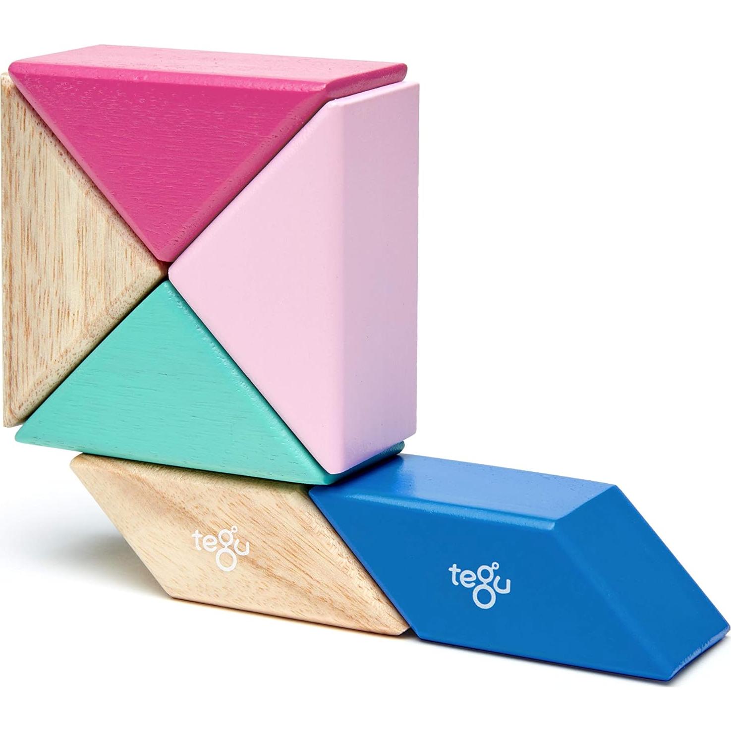 Juego de Bloques Magnéticos Tegu Floración 6 Piezas 15x8.9 cm