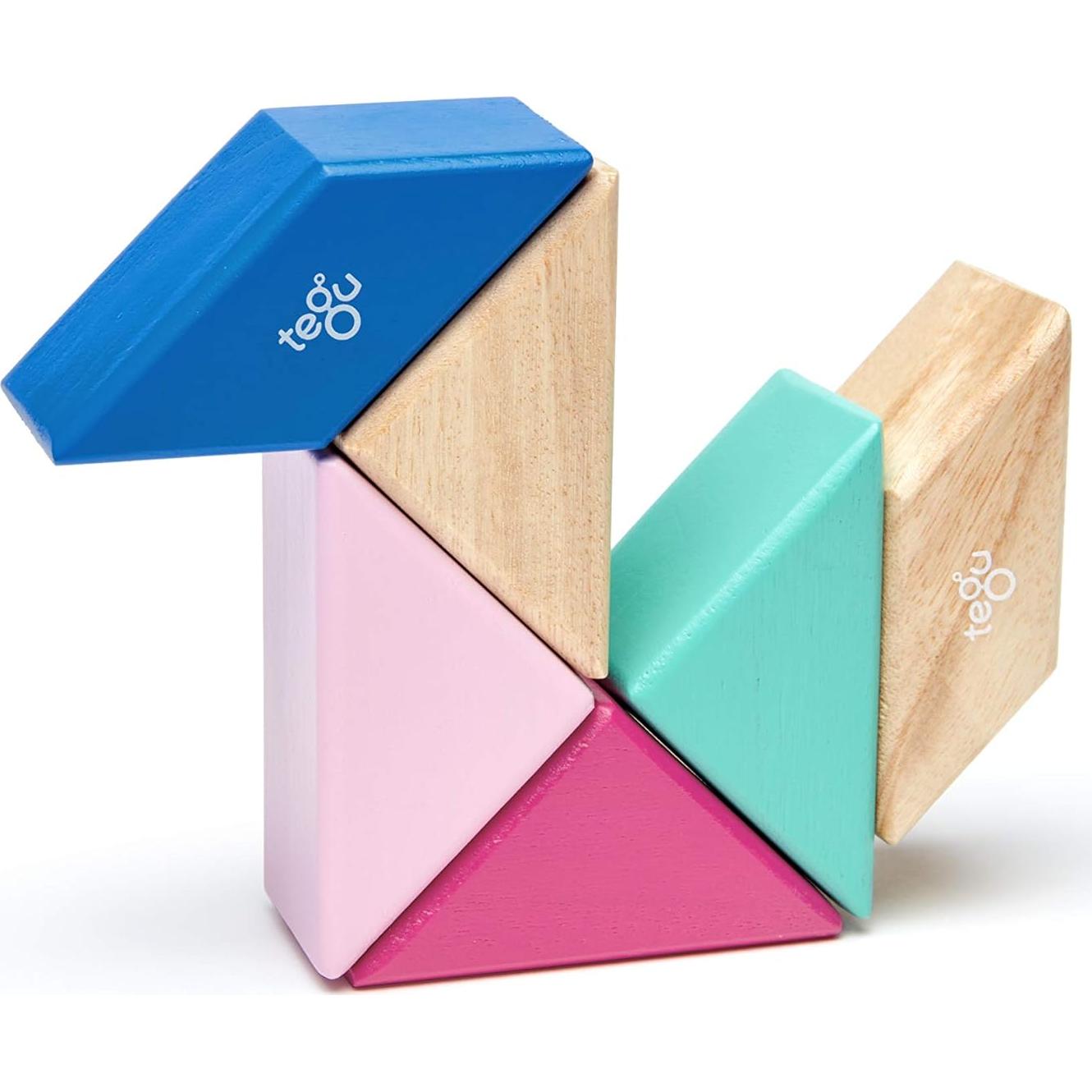 Juego de Bloques Magnéticos Tegu Floración 6 Piezas 15x8.9 cm