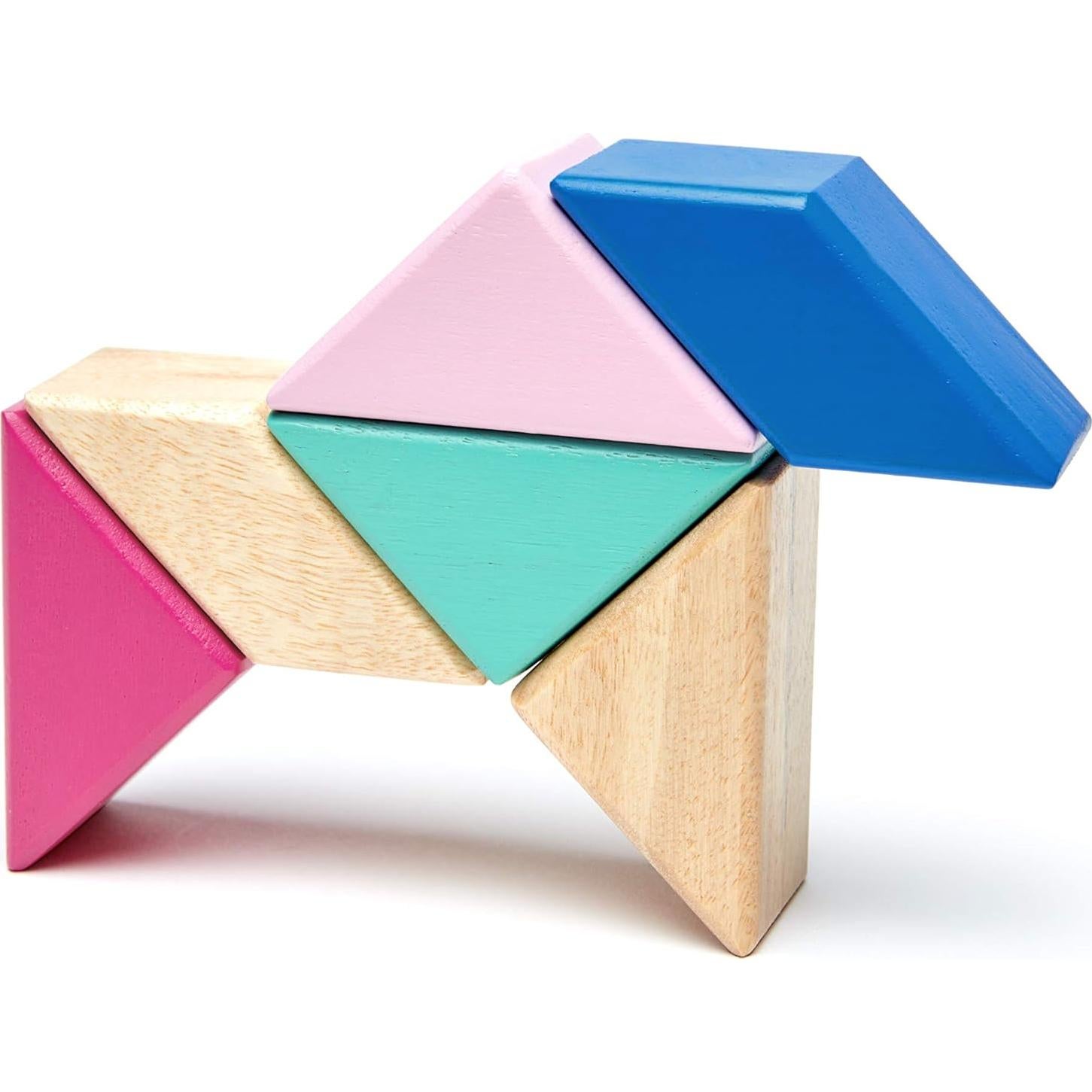 Juego de Bloques Magnéticos Tegu Floración 6 Piezas 15x8.9 cm