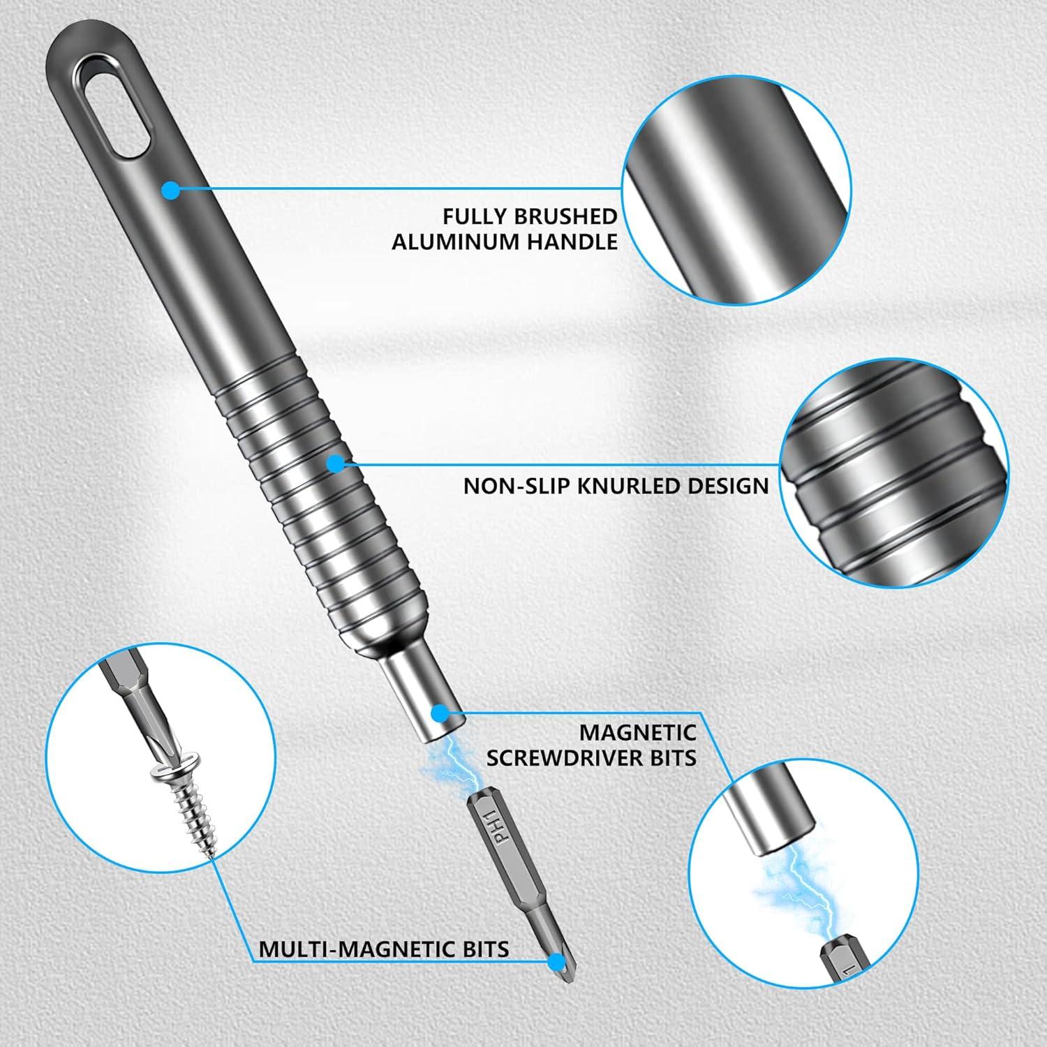 Juego de Destornilladores de Precisión 31 en 1 Caldeum