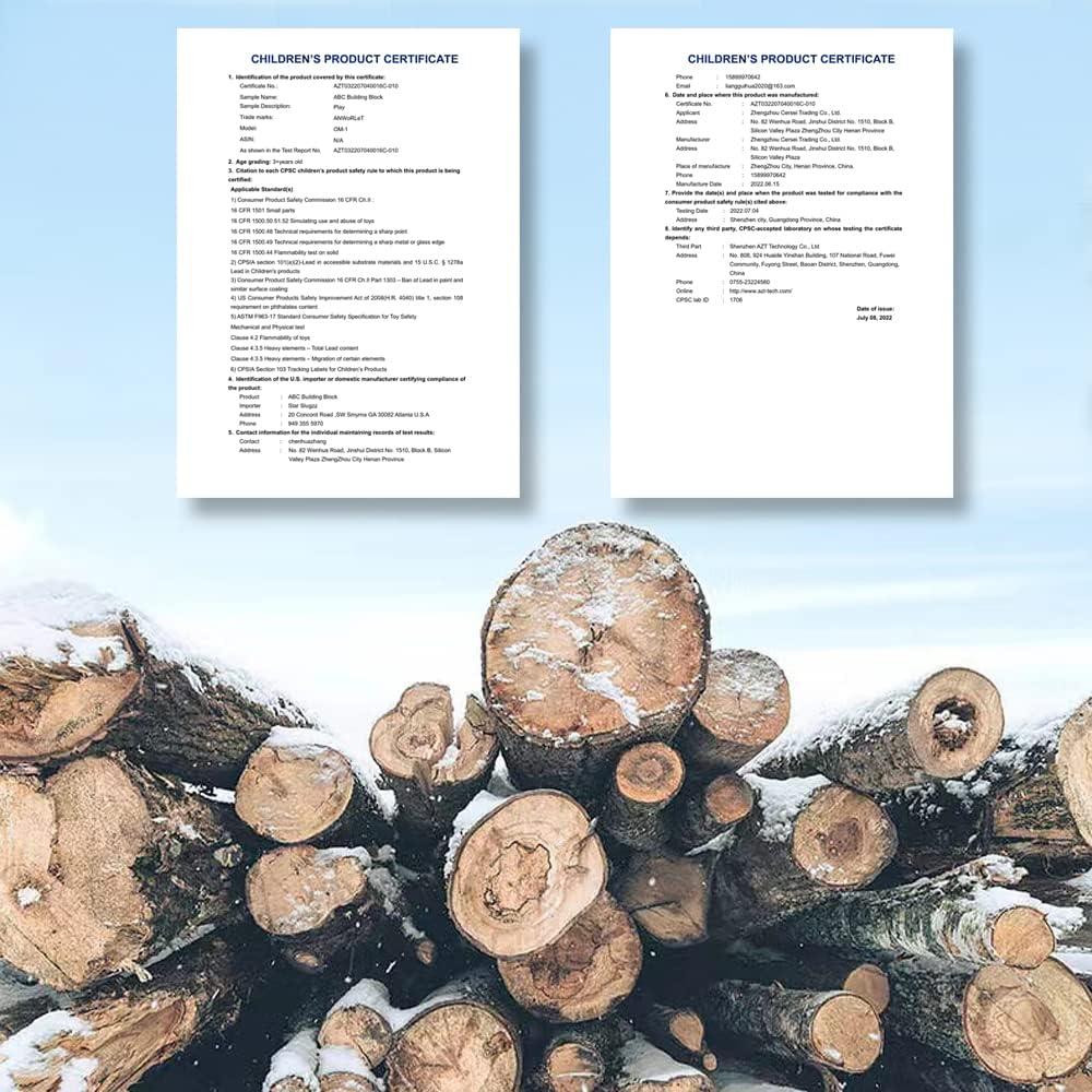 Bloques de Construcción de Madera ABC - Juguetes Educativos 1.16 kg