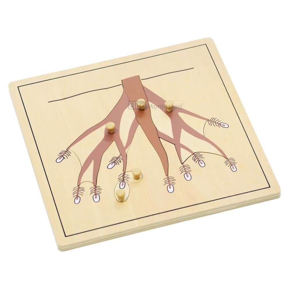 Rompecabezas de Botánica Montessori Elite 24x24 cm