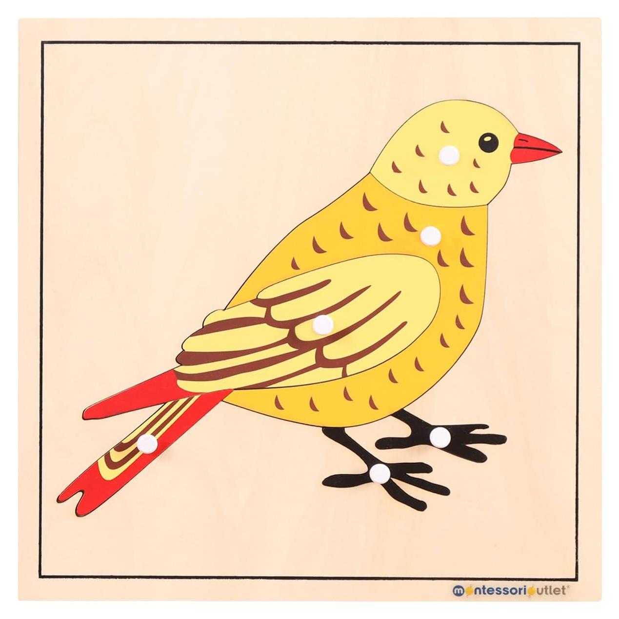 Rompecabezas Montessori de Aves 24x24 cm para 3-6 años