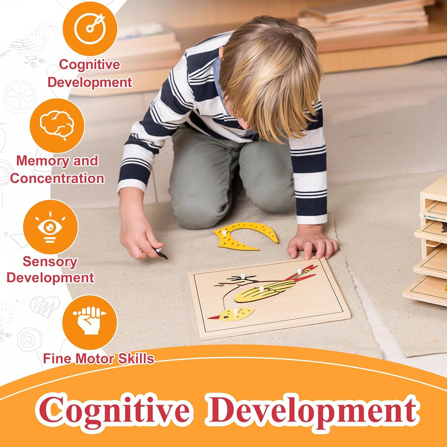 Rompecabezas Montessori de Aves 24x24 cm para 3-6 años