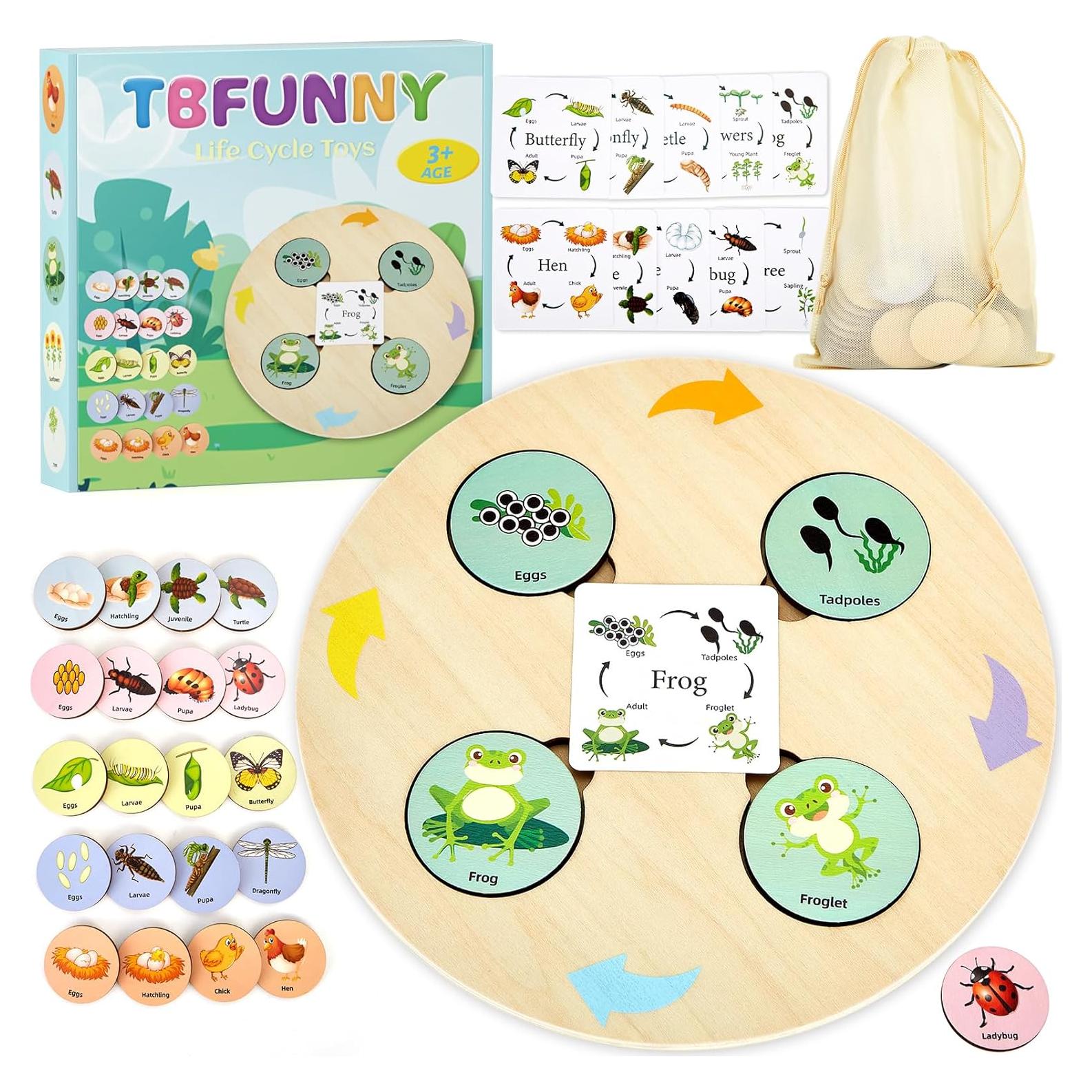 Juguete Educativo Ciclo de Vida TBFUNNY para Niños 3-12 Años