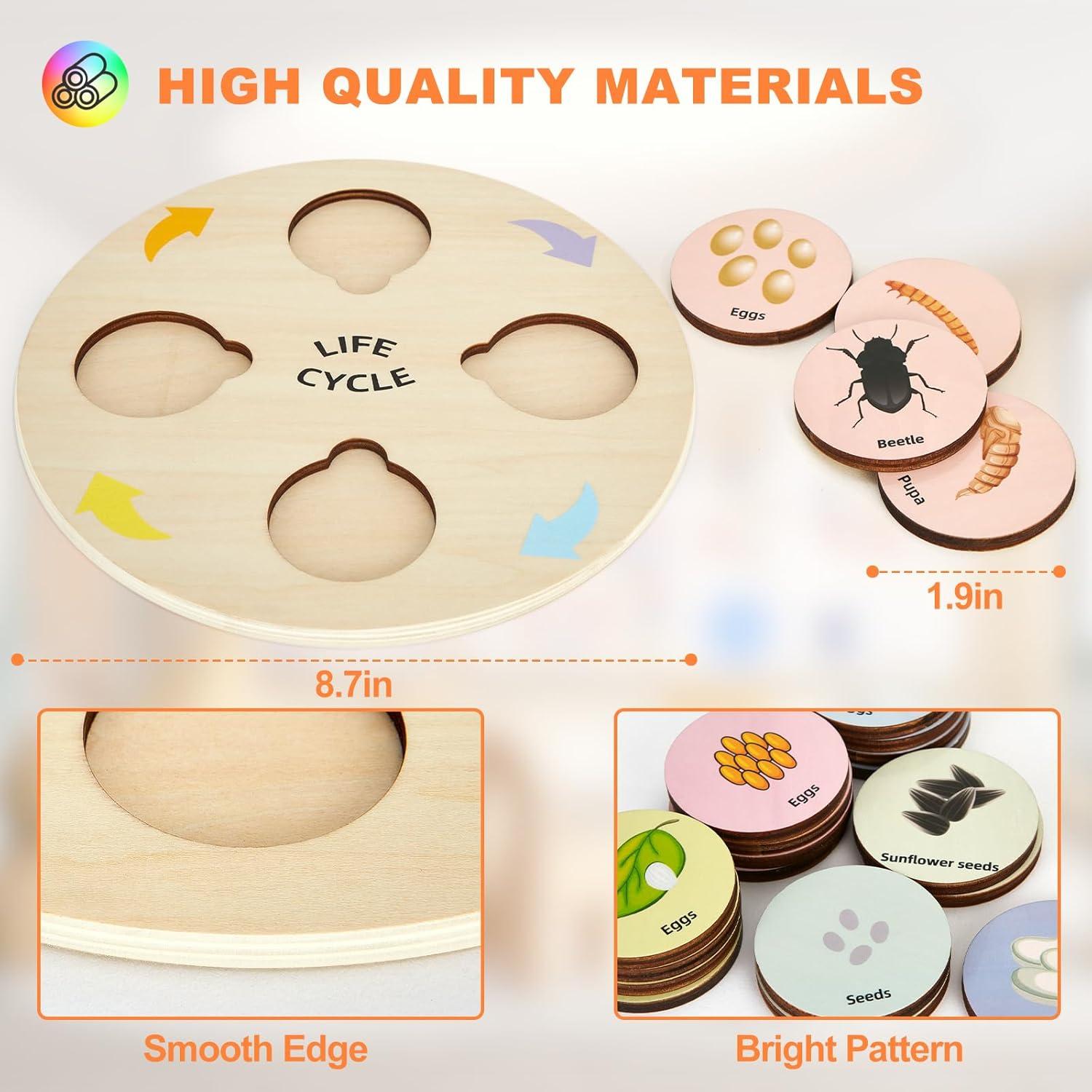 Juguete Educativo Ciclo de Vida TBFUNNY para Niños 3-12 Años