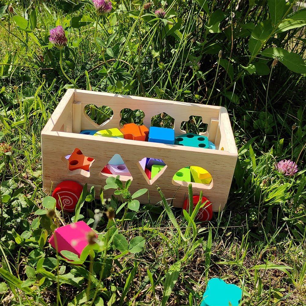 Juguete Clasificador de Formas de Madera Panda Brothers - 0.95 kg