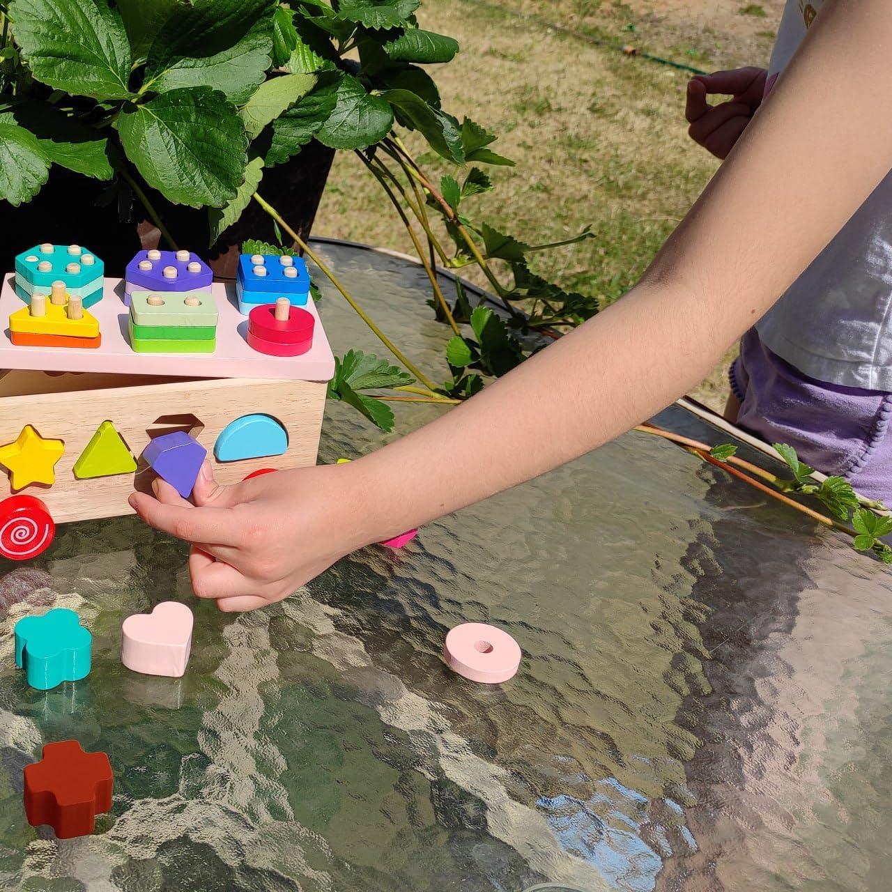 Juguete Clasificador de Formas de Madera Panda Brothers - 0.95 kg